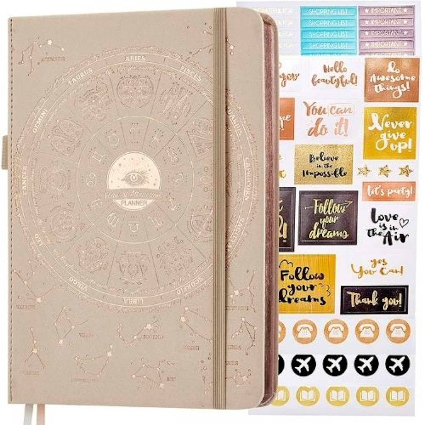 deluxe law of attraction life and goal planner