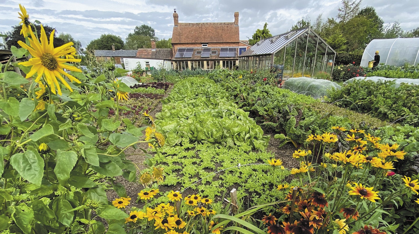 Charles Dowding's No-dig garden in Somerset