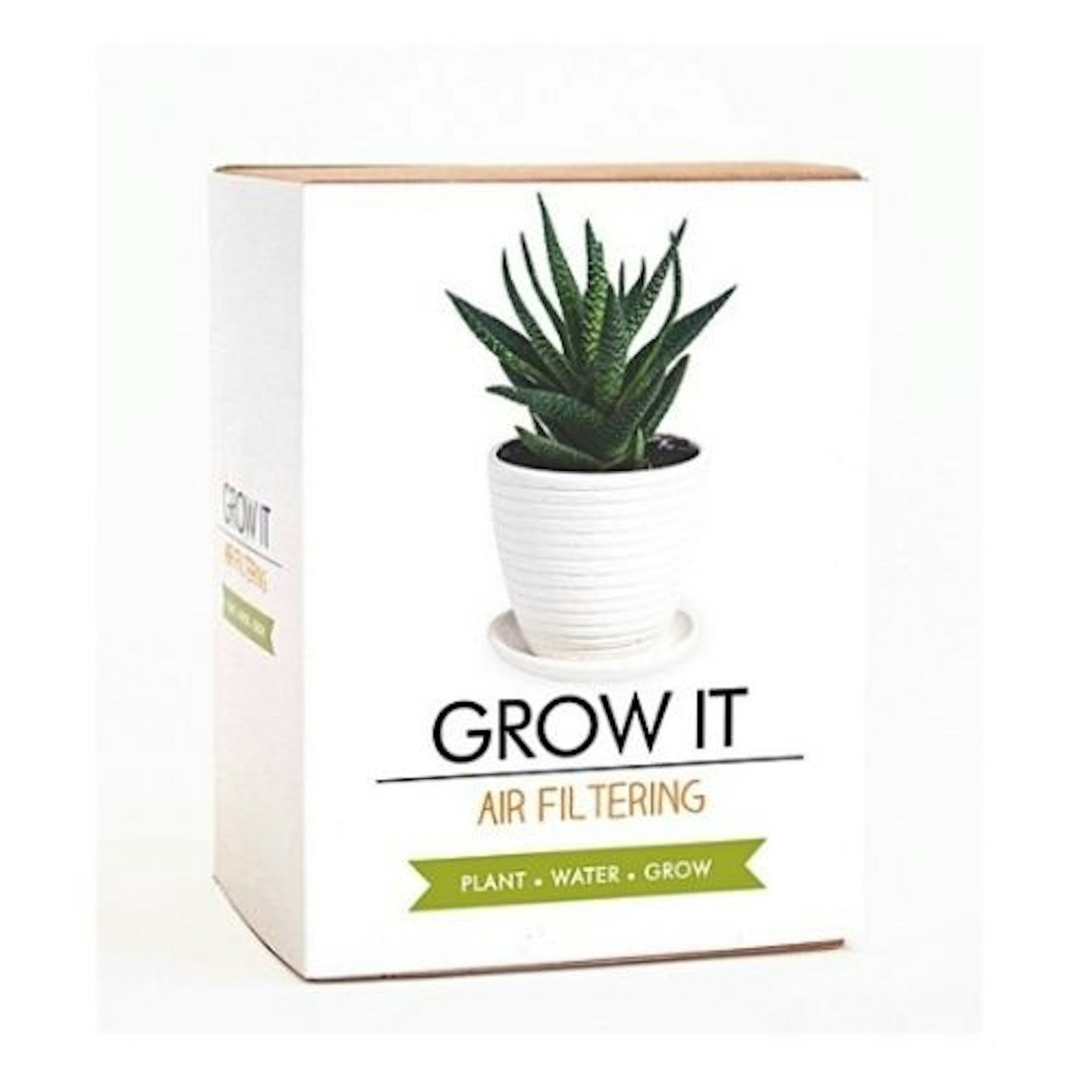 Grow It Air filtering seeds kit box
