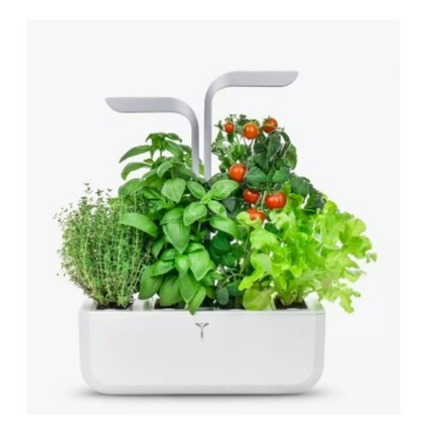 Veritable Indoor Garden Smart Herb and Plant Holder