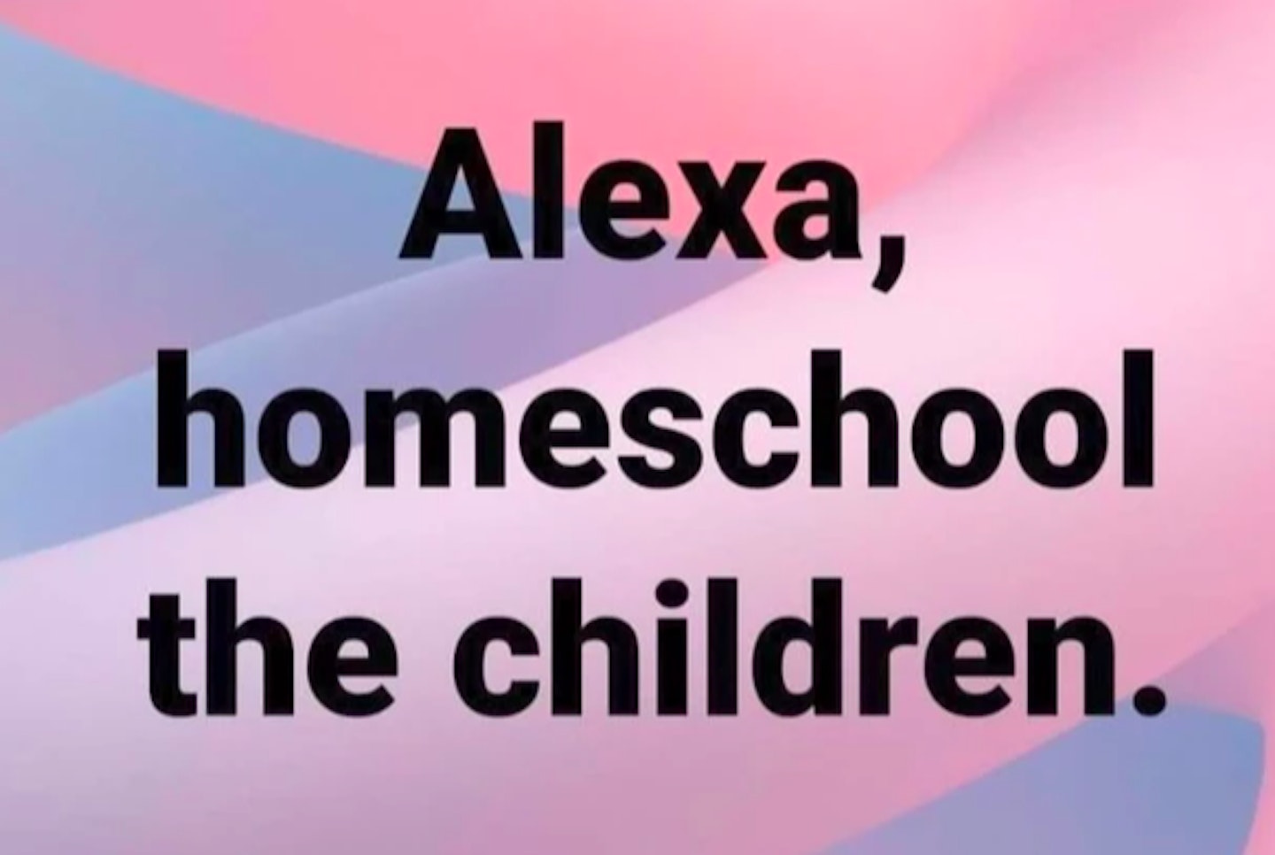 Homeschooling Memes - Grazia