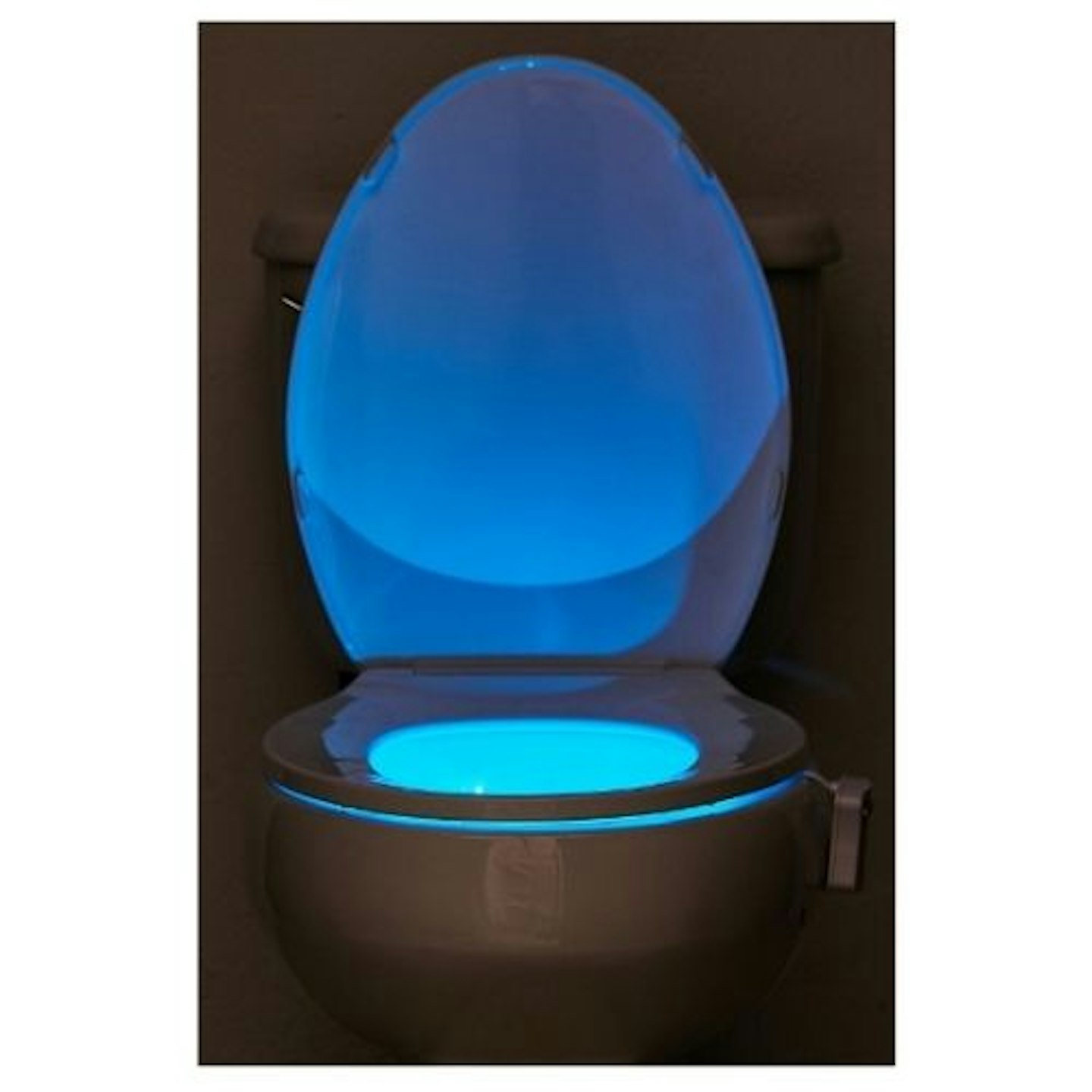 LED Toilet Bowl Light in a toilet