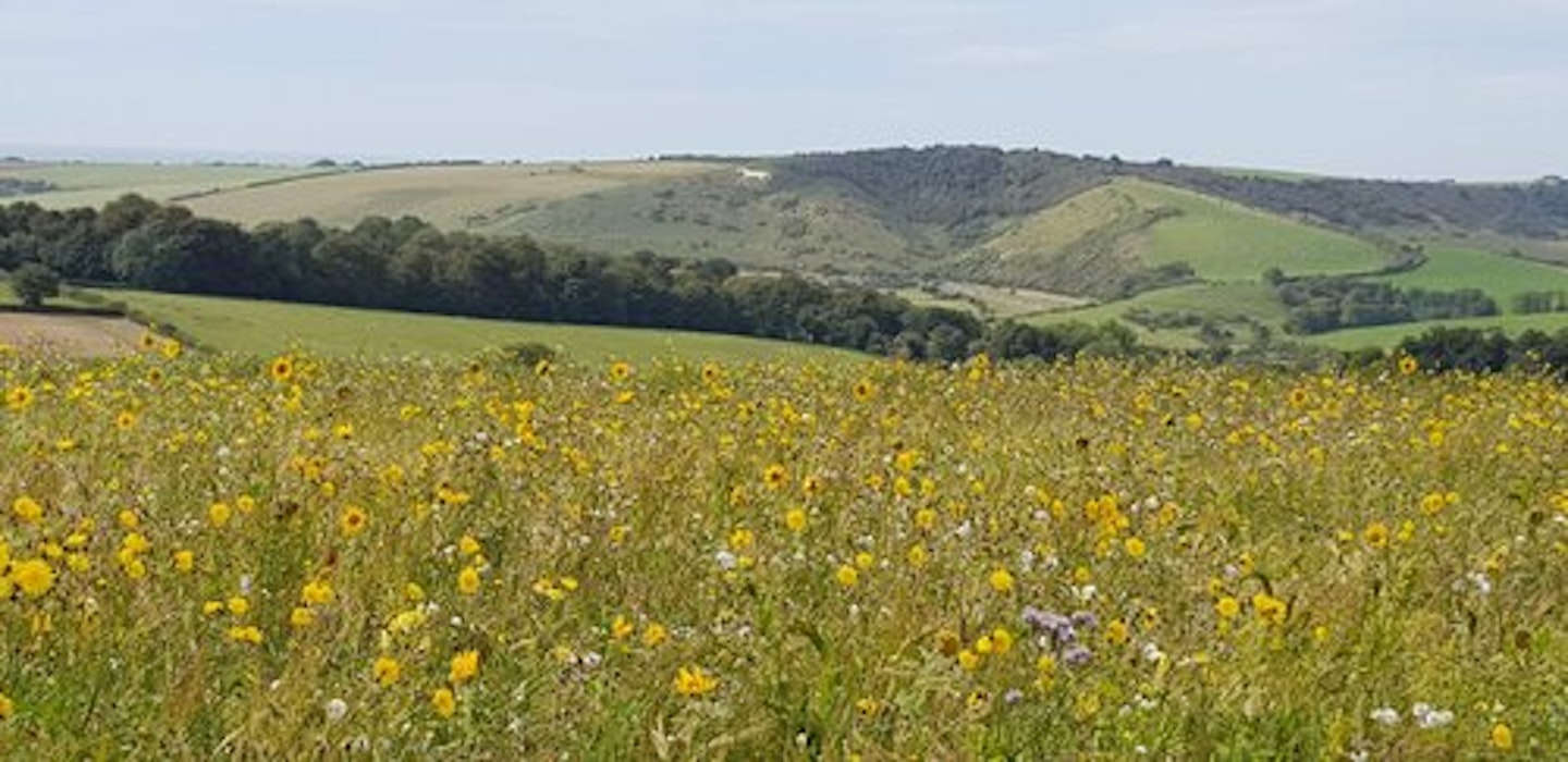 SECRET HILLS WALKING HOLIDAYS