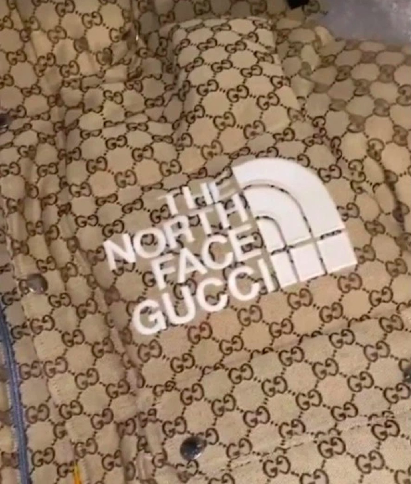Molly-Mae Hague chav Gucci jacket