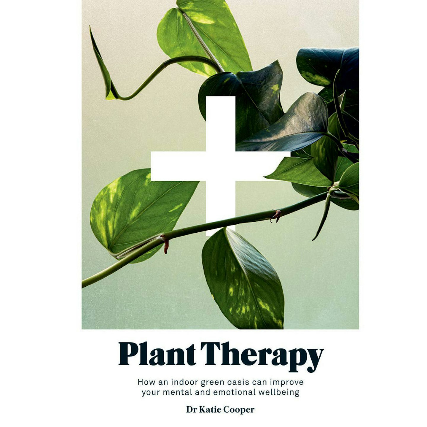 Plant Therapy by Dr Katie Cooper