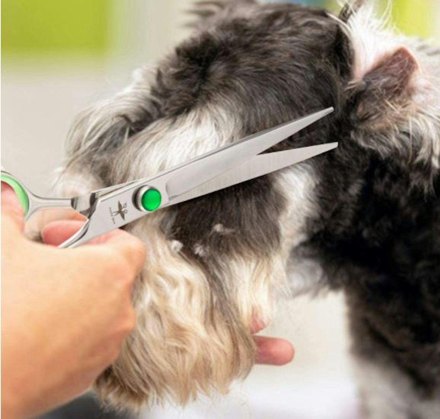 PURPLEBIRD 7 Inch Straight Dog Grooming Scissors