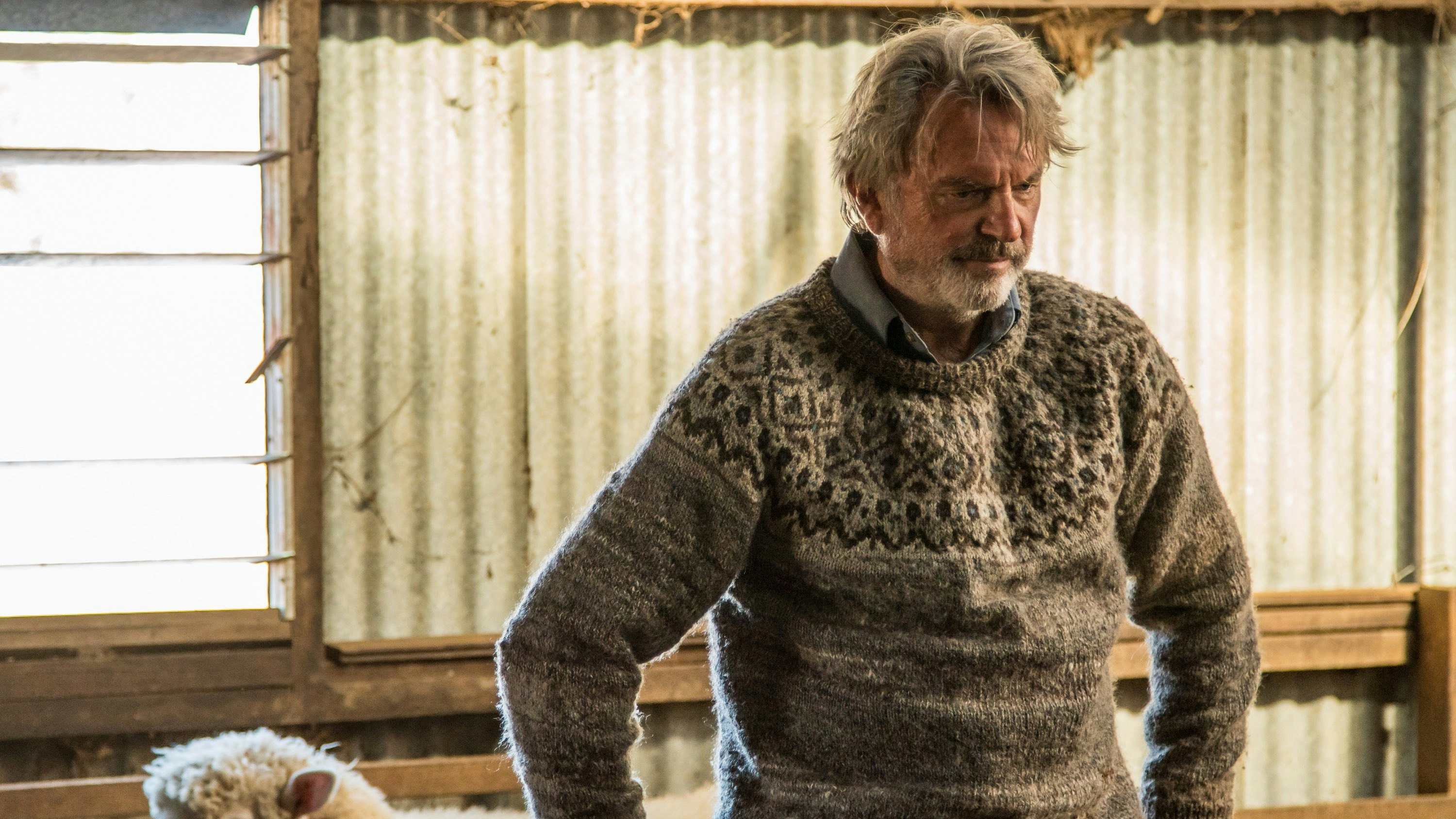 Sam Neil Rams Rams Exclusive Clip – Sam Neill Has To Herd Sheep At Home