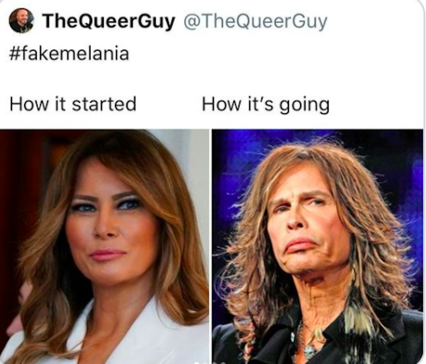 Fake Melania Memes - Grazia