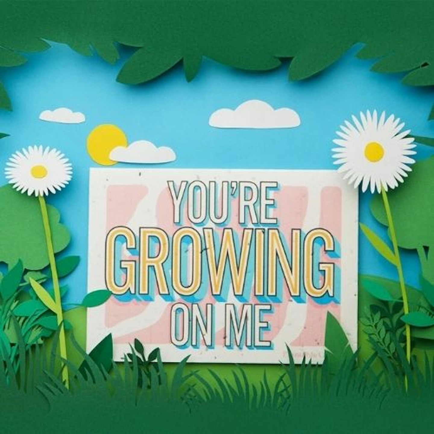 Plantable cards u2013 eco-friendly seed paper