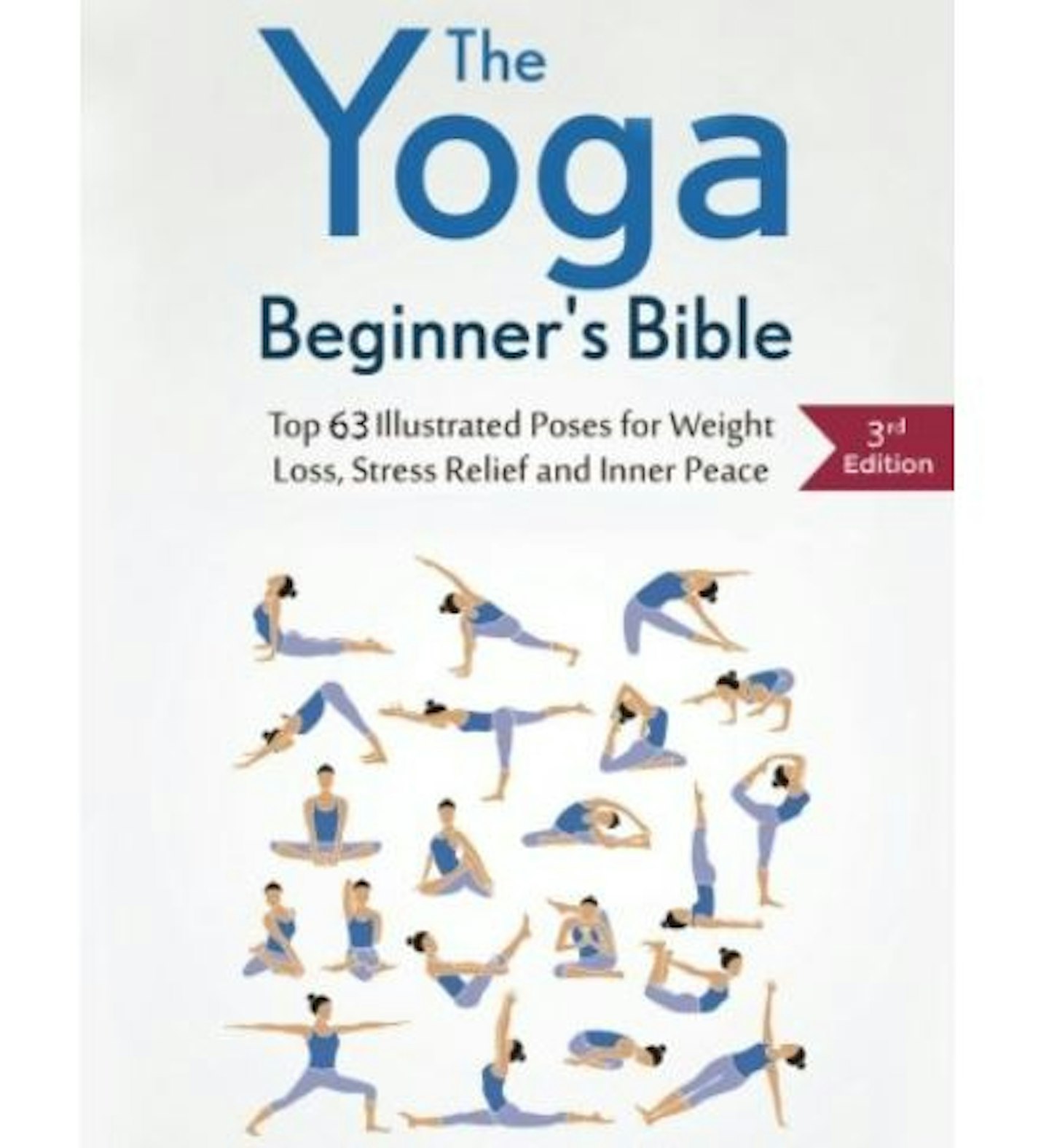 The Yoga Beginneru2019s Bible u2013 Tai Morello