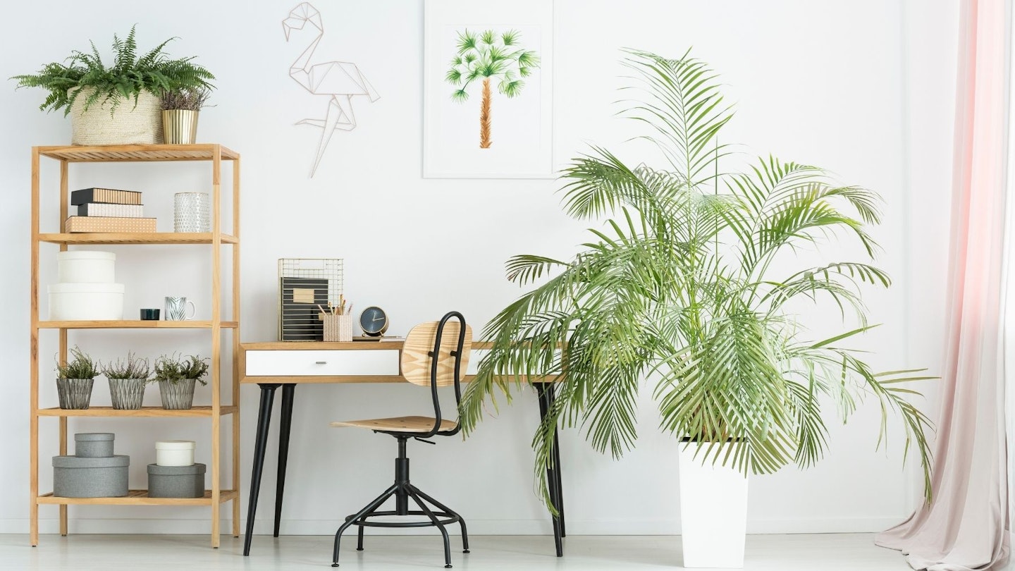 Home office with desk and plants