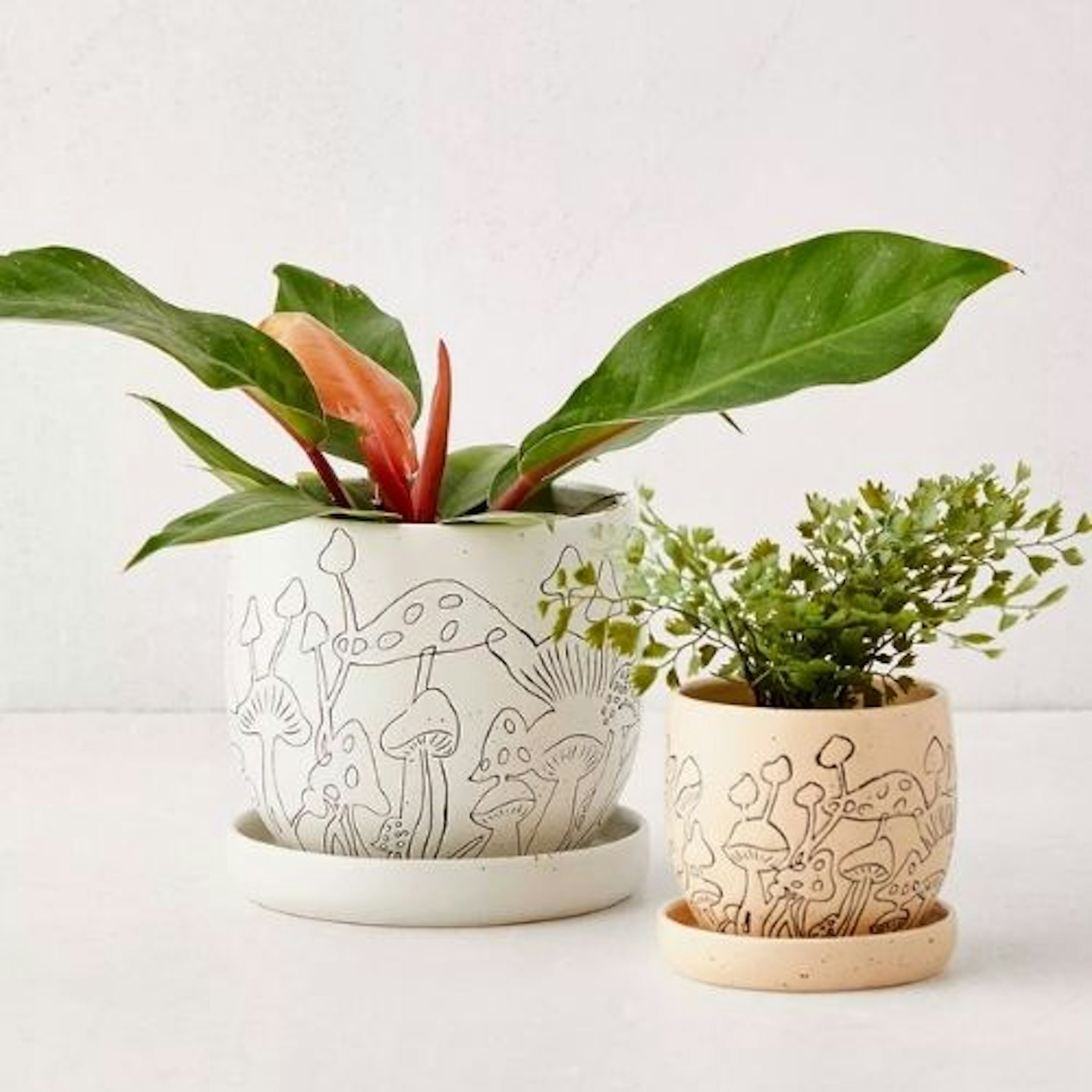 Small Mushroom Plant Pot & Tray
