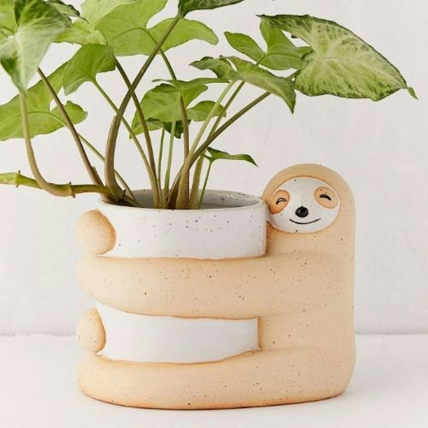 Sloth Planter
