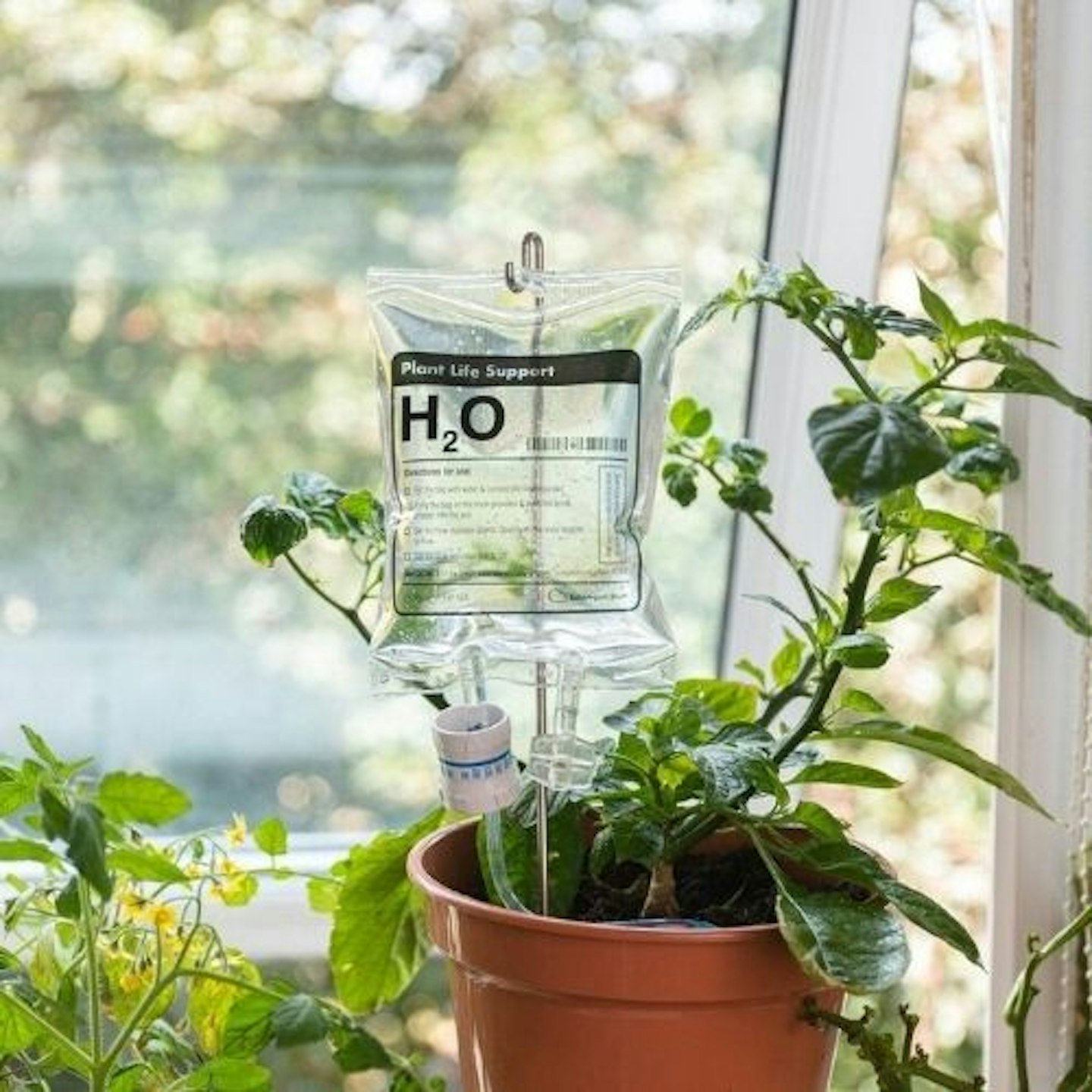 Plant Life Support