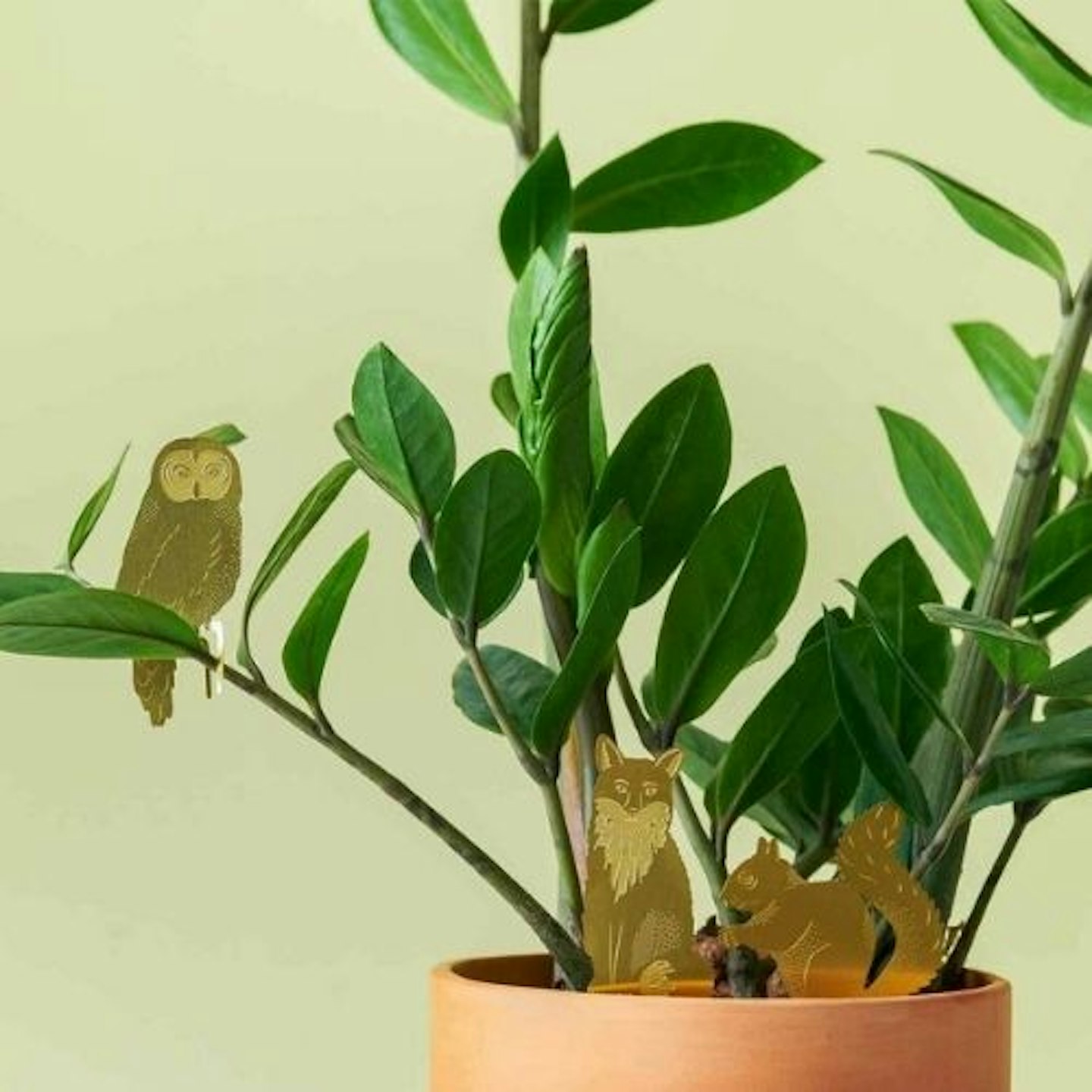 Animal Houseplant Decorations