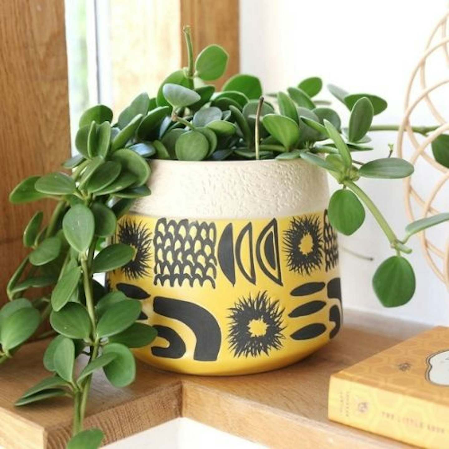 Large Ceramic Sunshine Planter