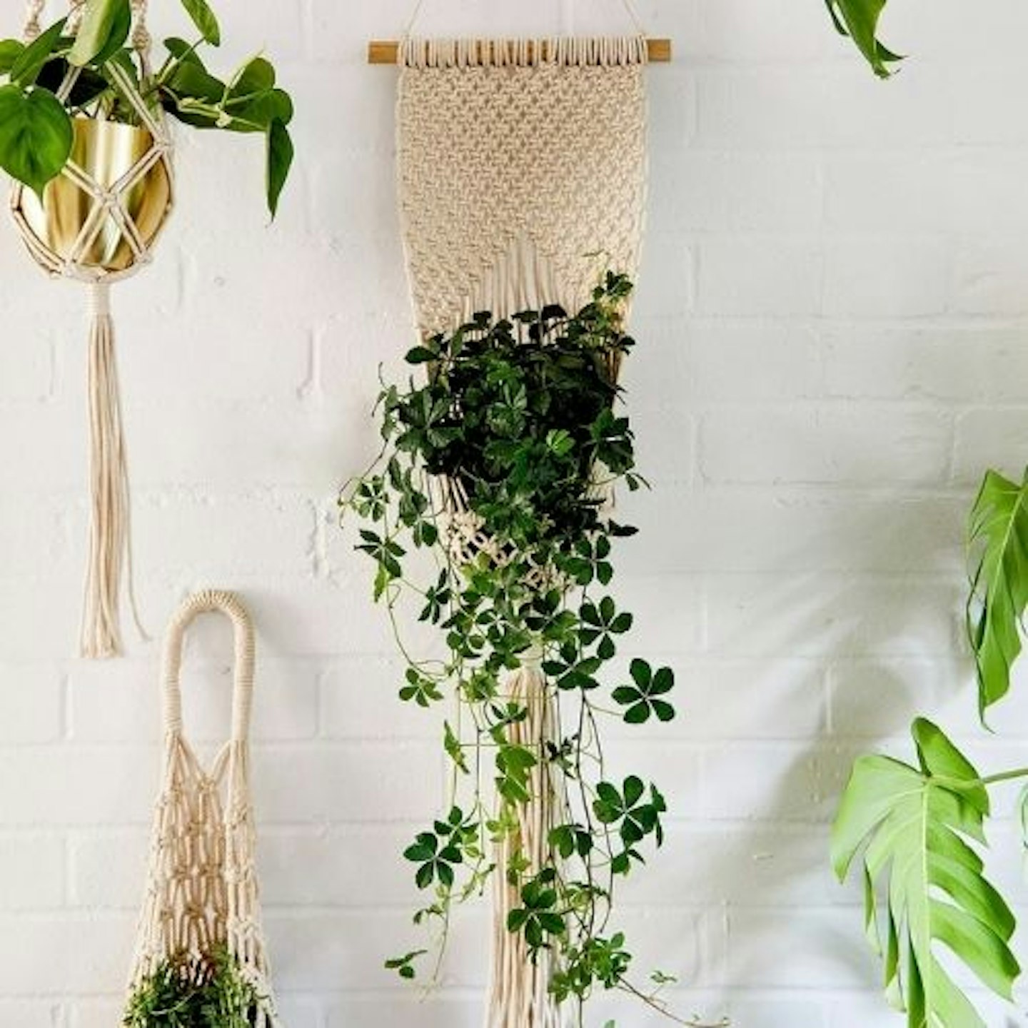 Braid Back Hanging Planter