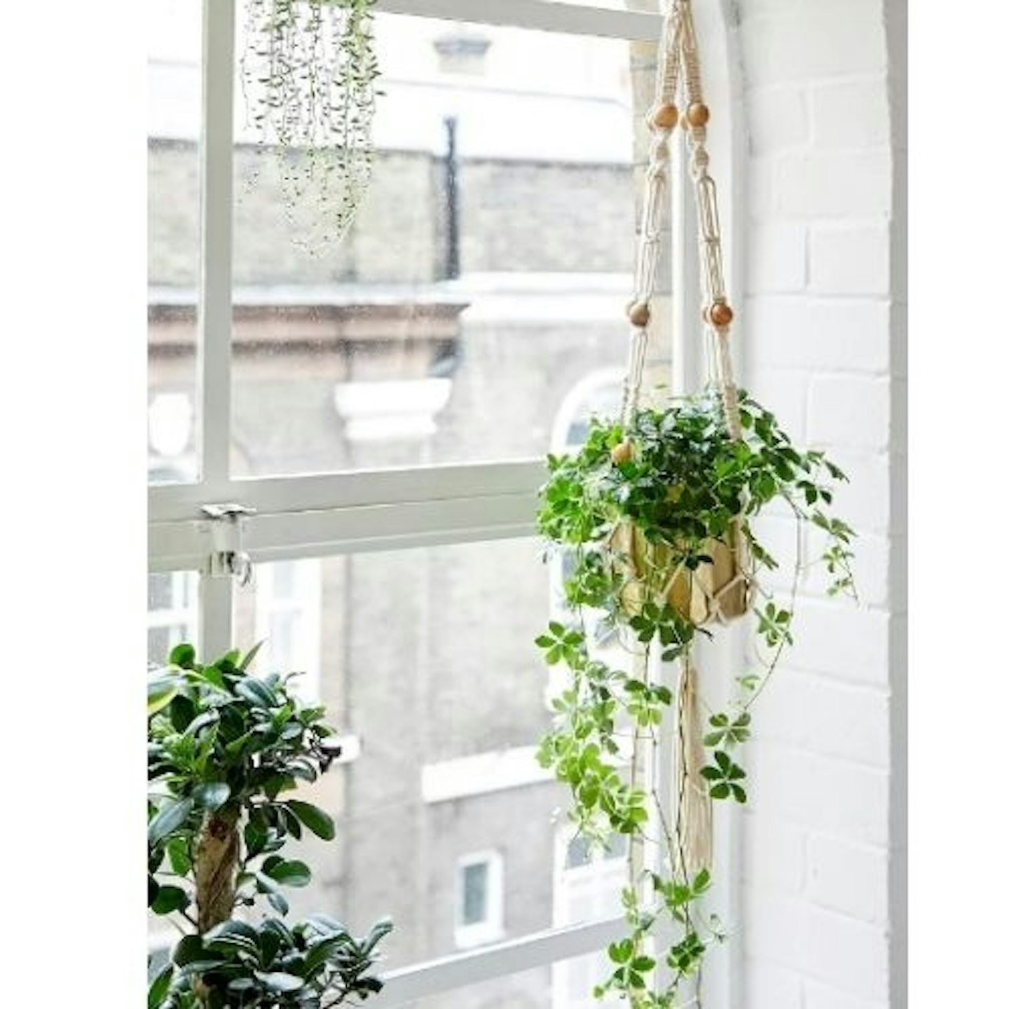 Macrame & Bead Hanging Planter near window