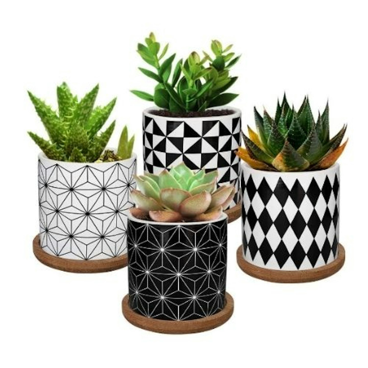 Lewondr Succulent Plant Pots set of four