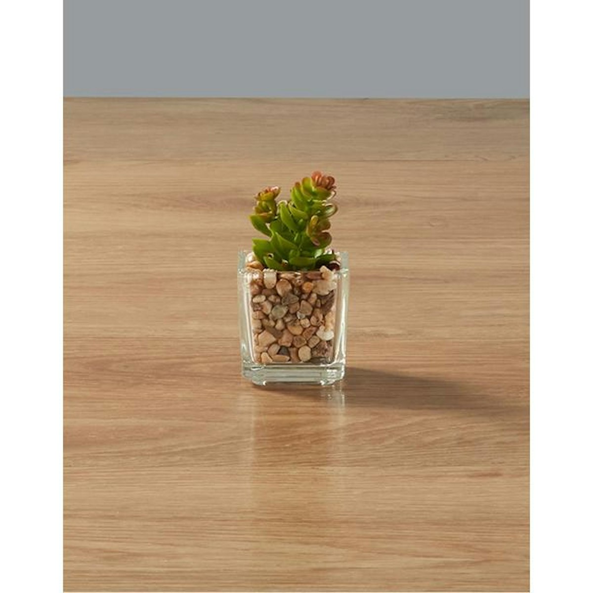 The best Morrisons plants and homeware to transform your space