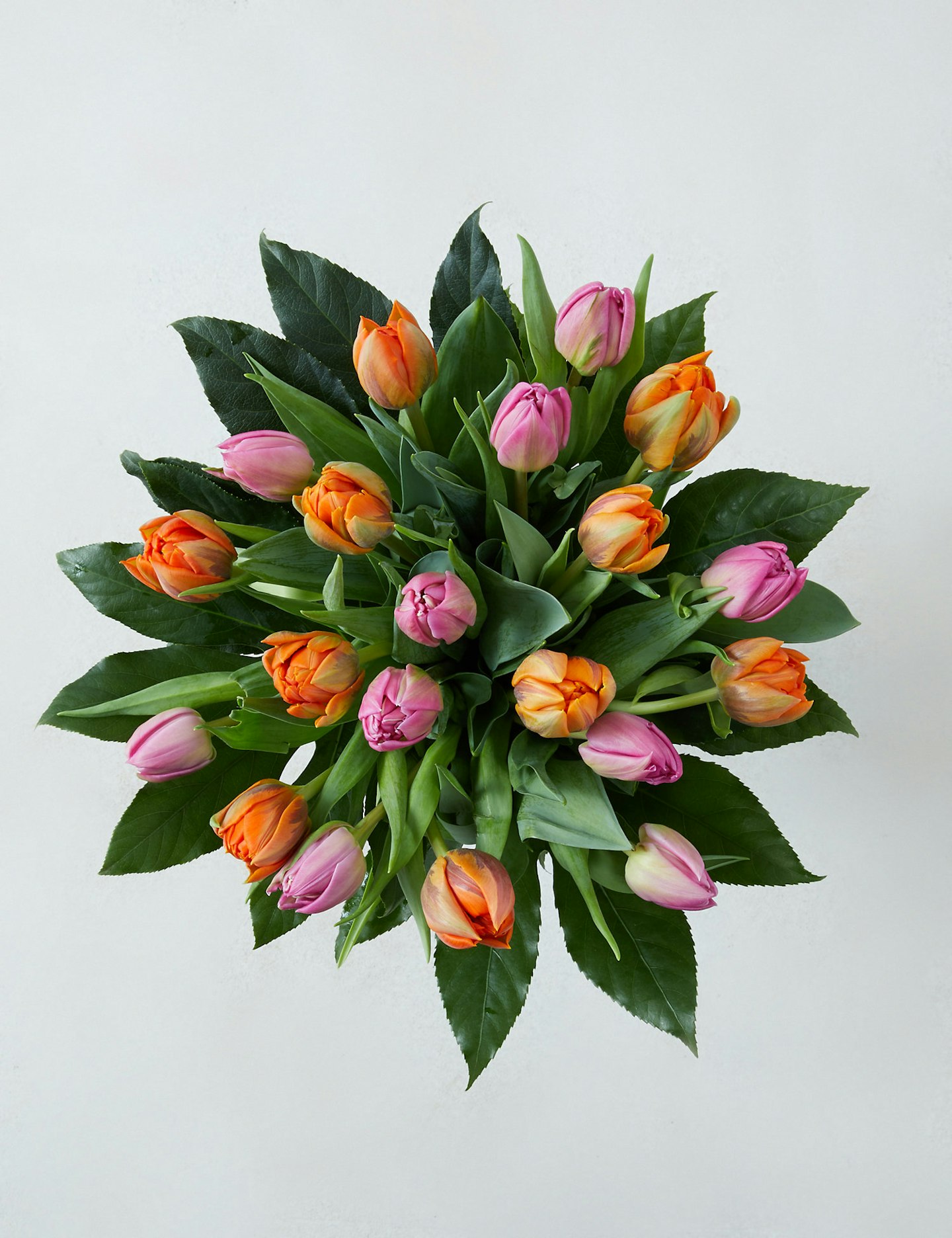 M&S, Luxury Tulips, £35