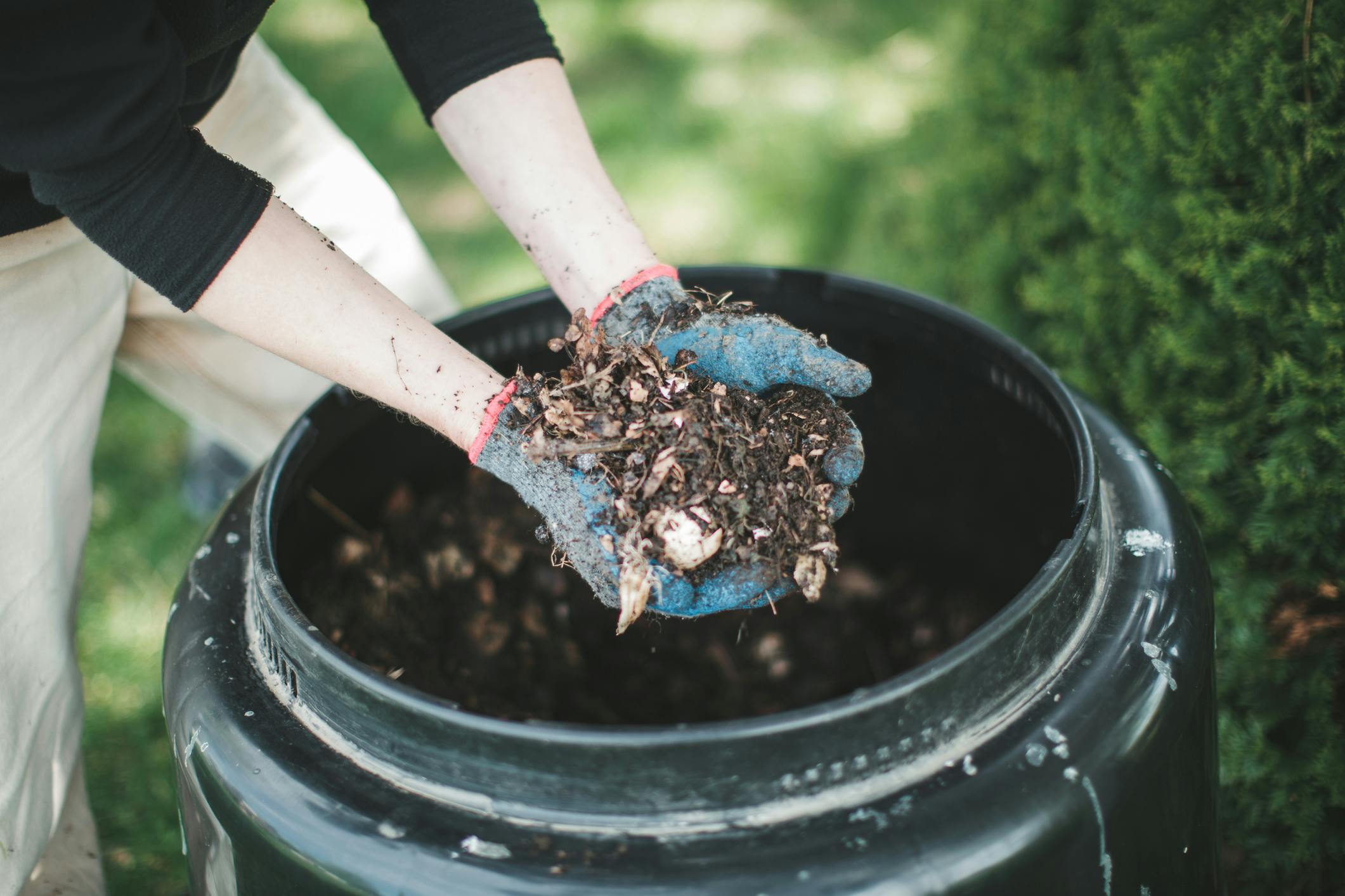 The Best Home Compost Bins