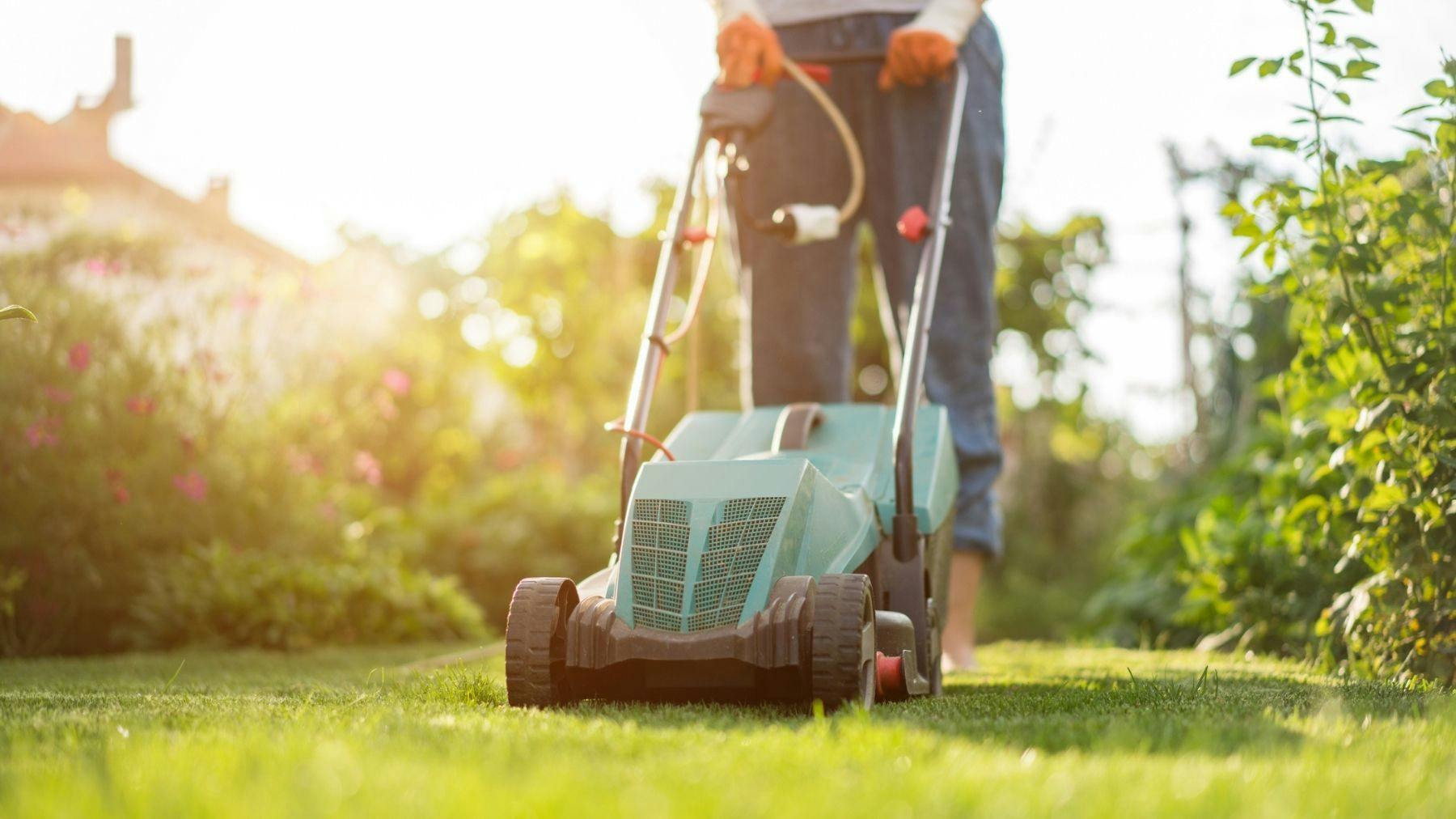 John lewis cheap cordless lawn mowers