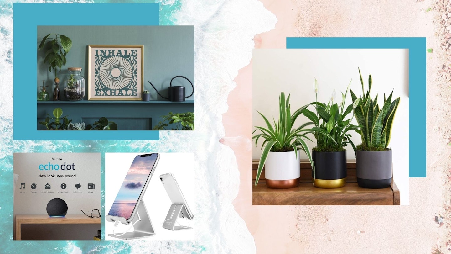 Sandy beach background with product shots of poster, plants, Amazon echo and phone holder