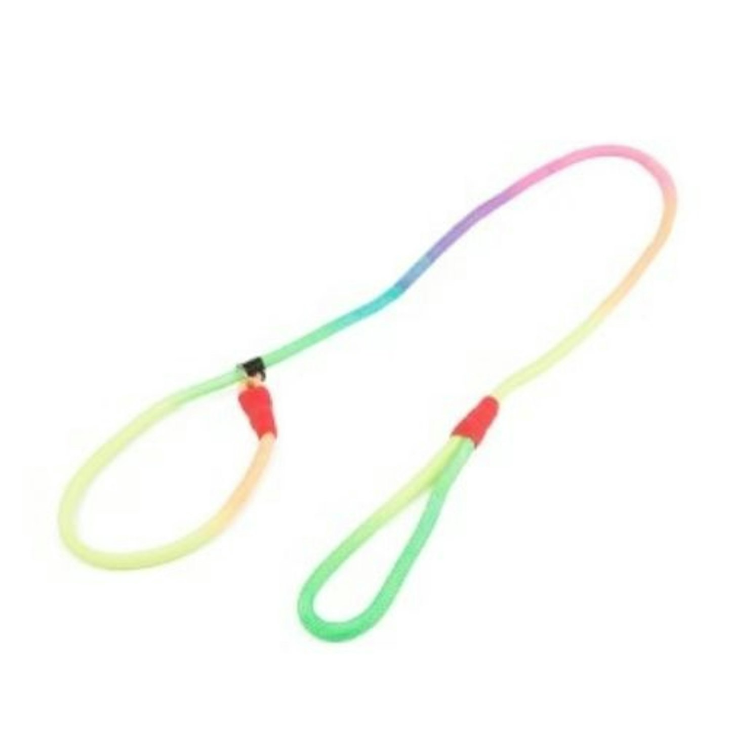 Zee Dog Rainbow Slip-on Lead