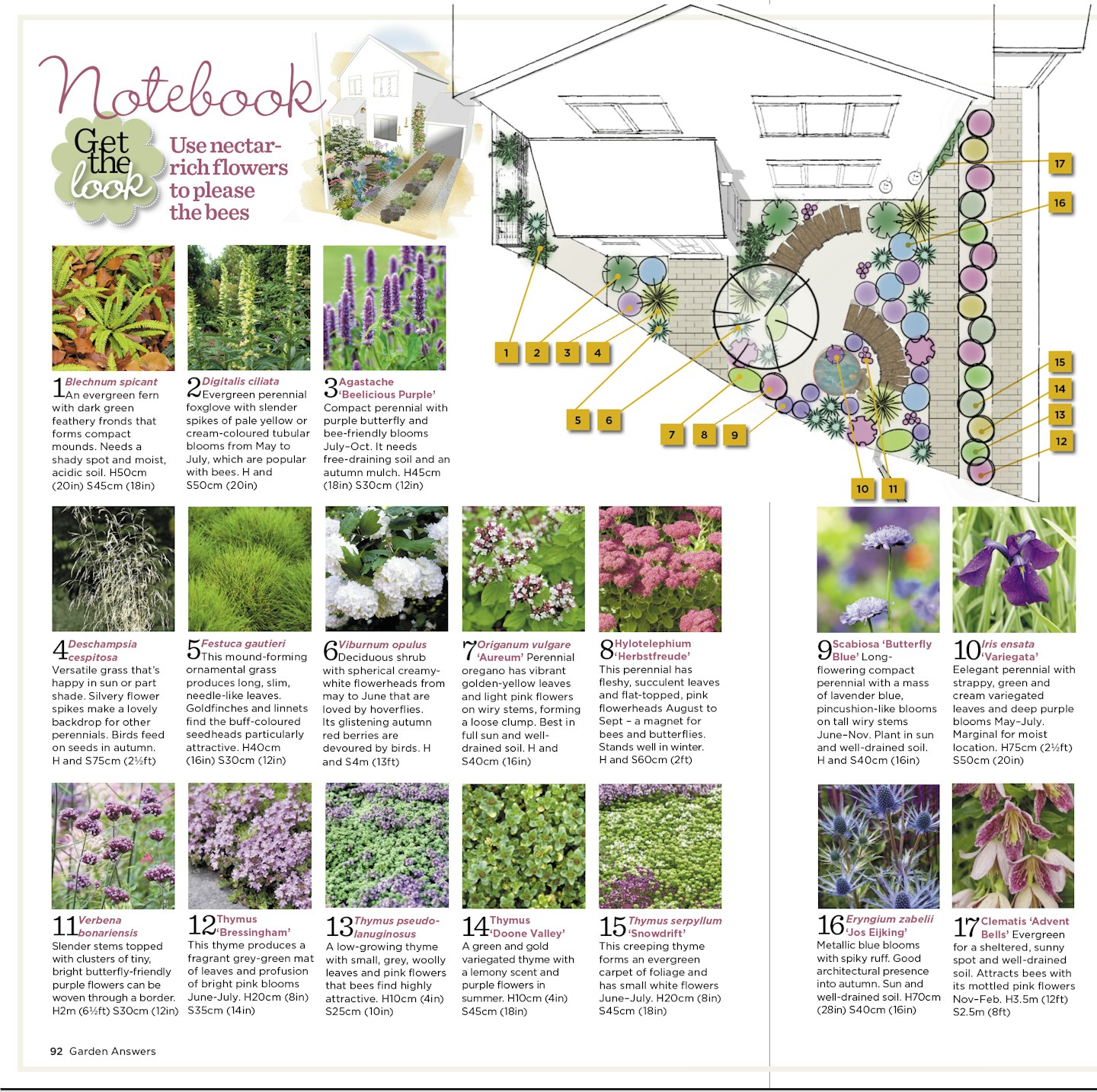 Planting plan for pollinator-friendly front garden