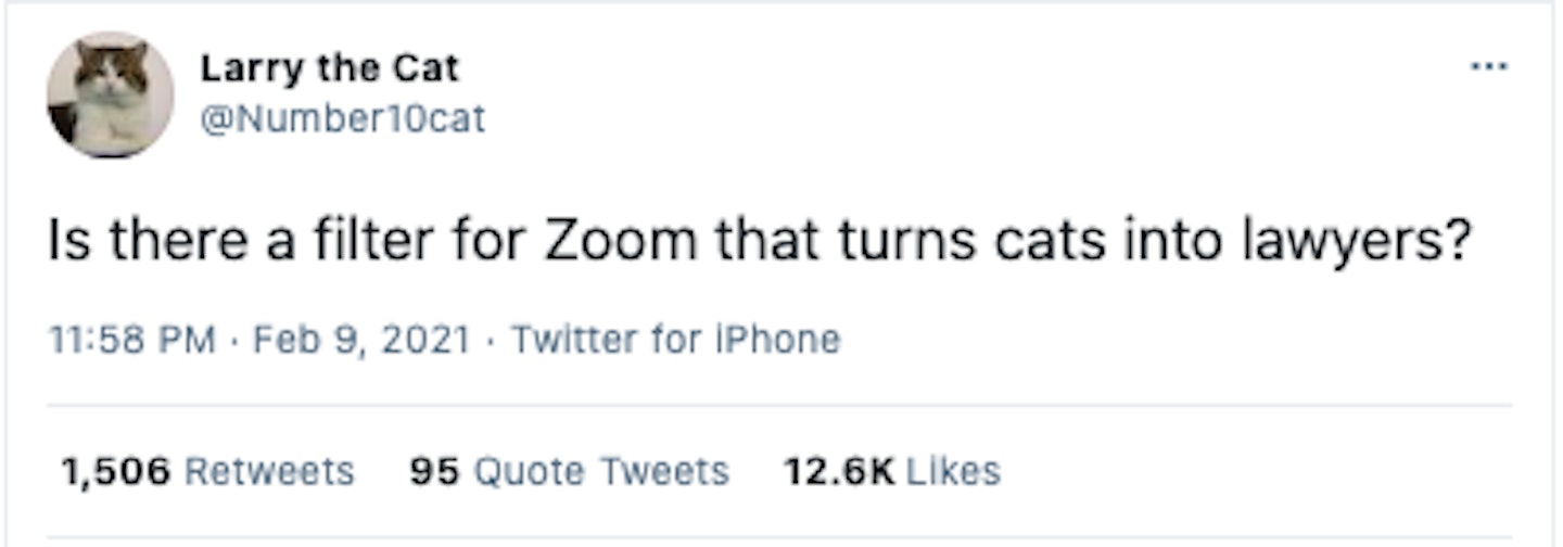 Zoom Fail Memes - Grazia