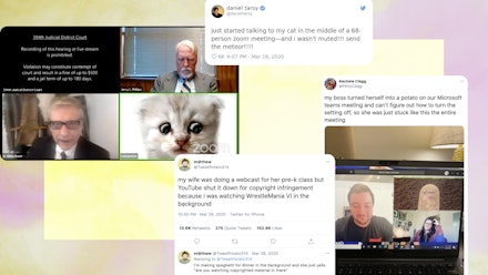 The Internet Is Obsessed With The Lawyer Who Couldn T Turn Off A Cat Filter During A Zoom Court Hearing Grazia The Internet Is Obsessed With The Lawyer Who Couldn T Turn Off A Cat Filter During A Zoom Court Hearing Grazia