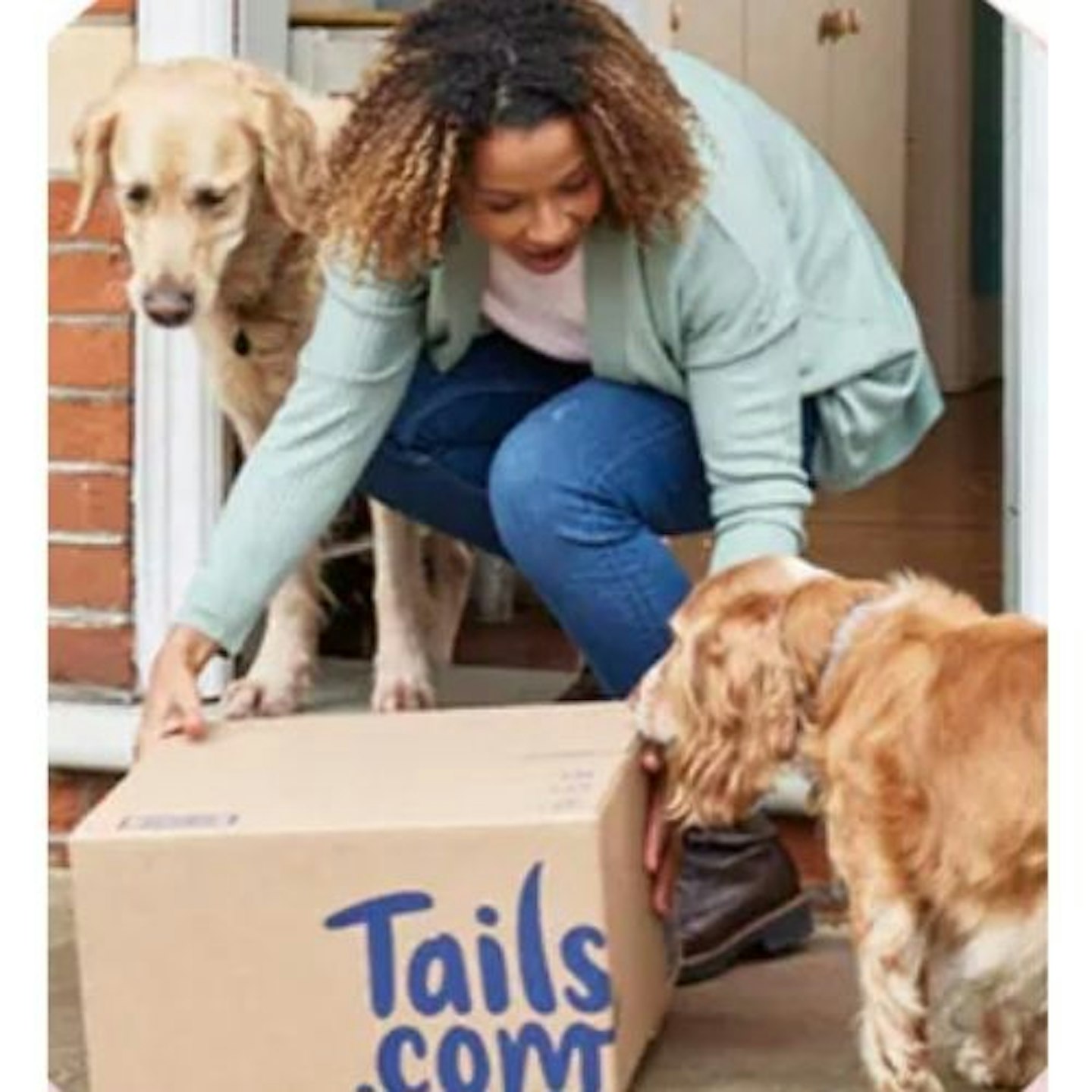 Tails Tailor-made Dog Food
