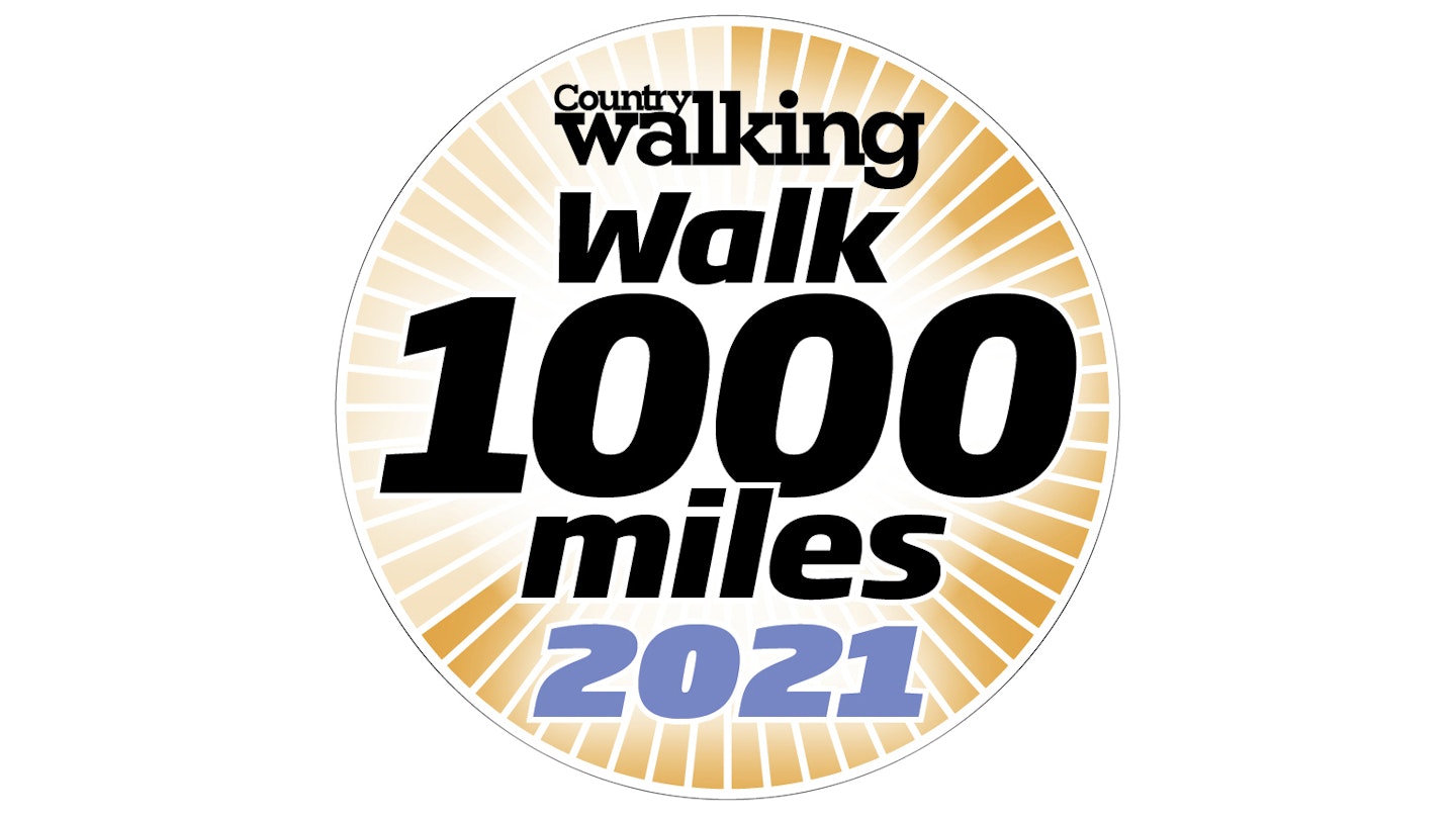 walk 1000 miles logo