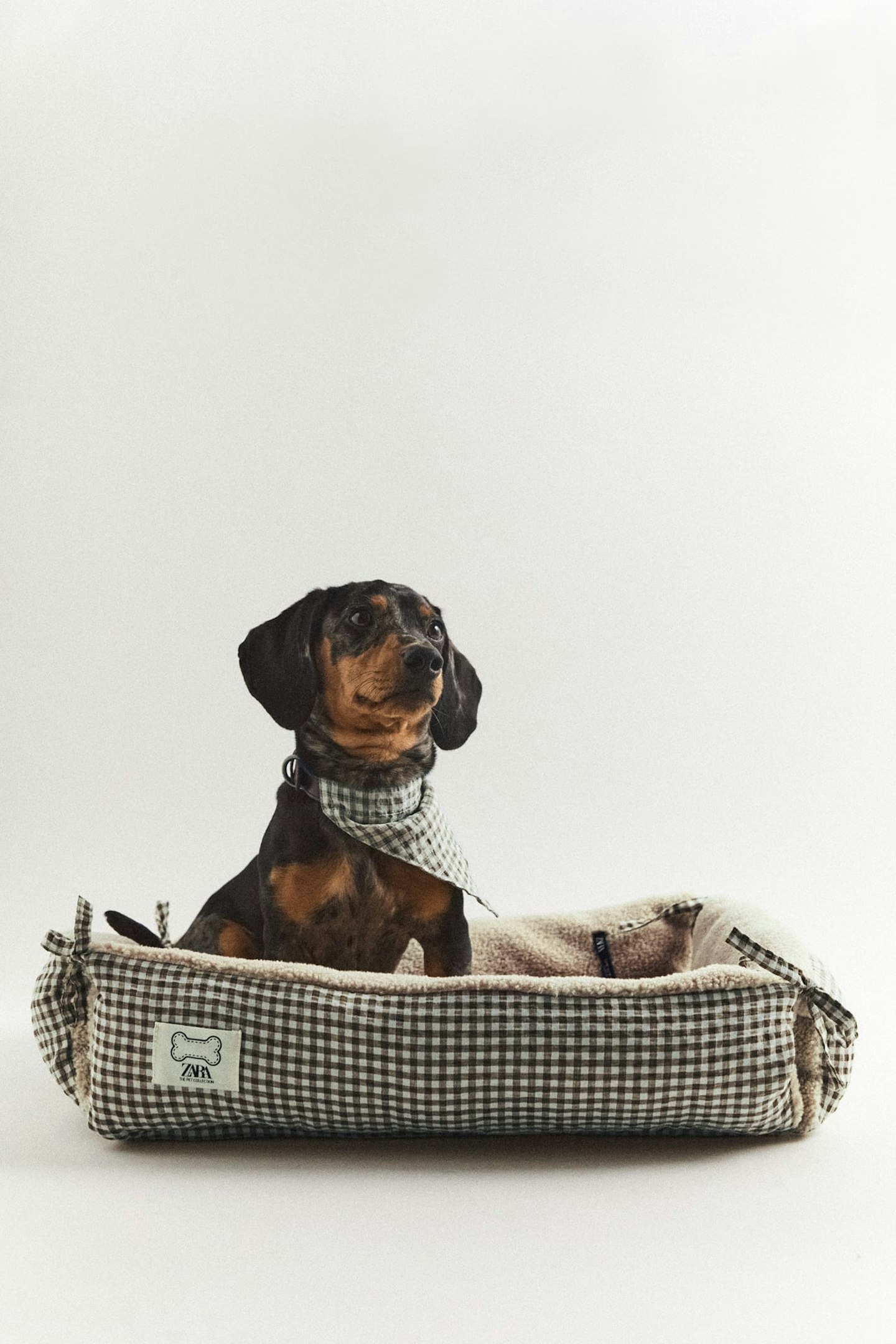 zara pet collection