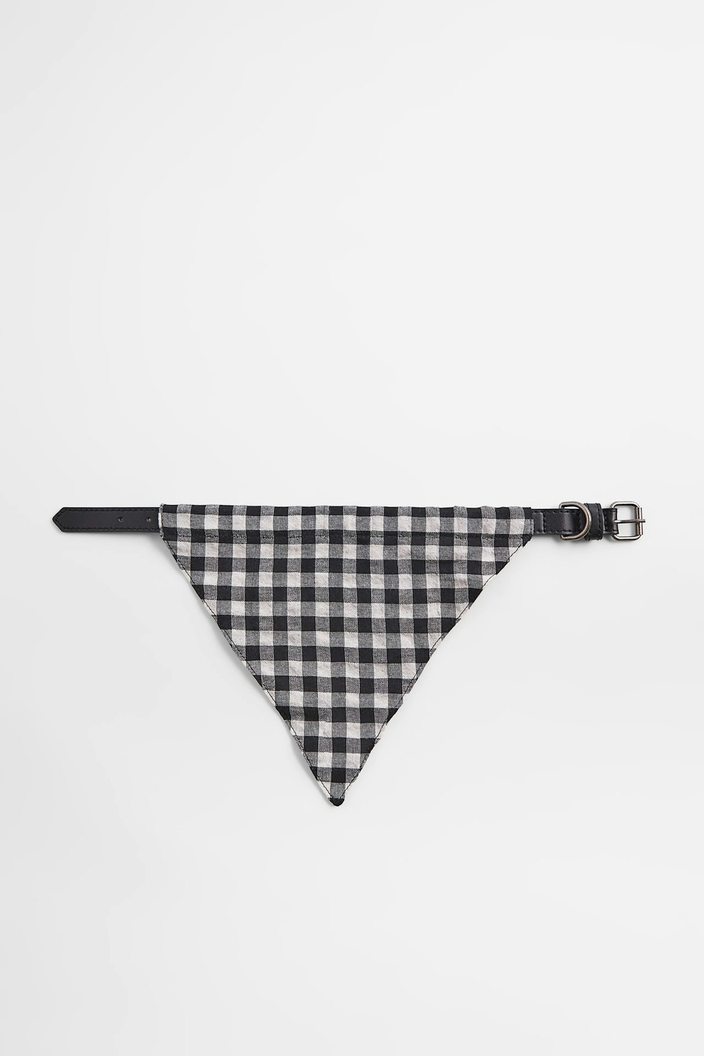 zara pet collection