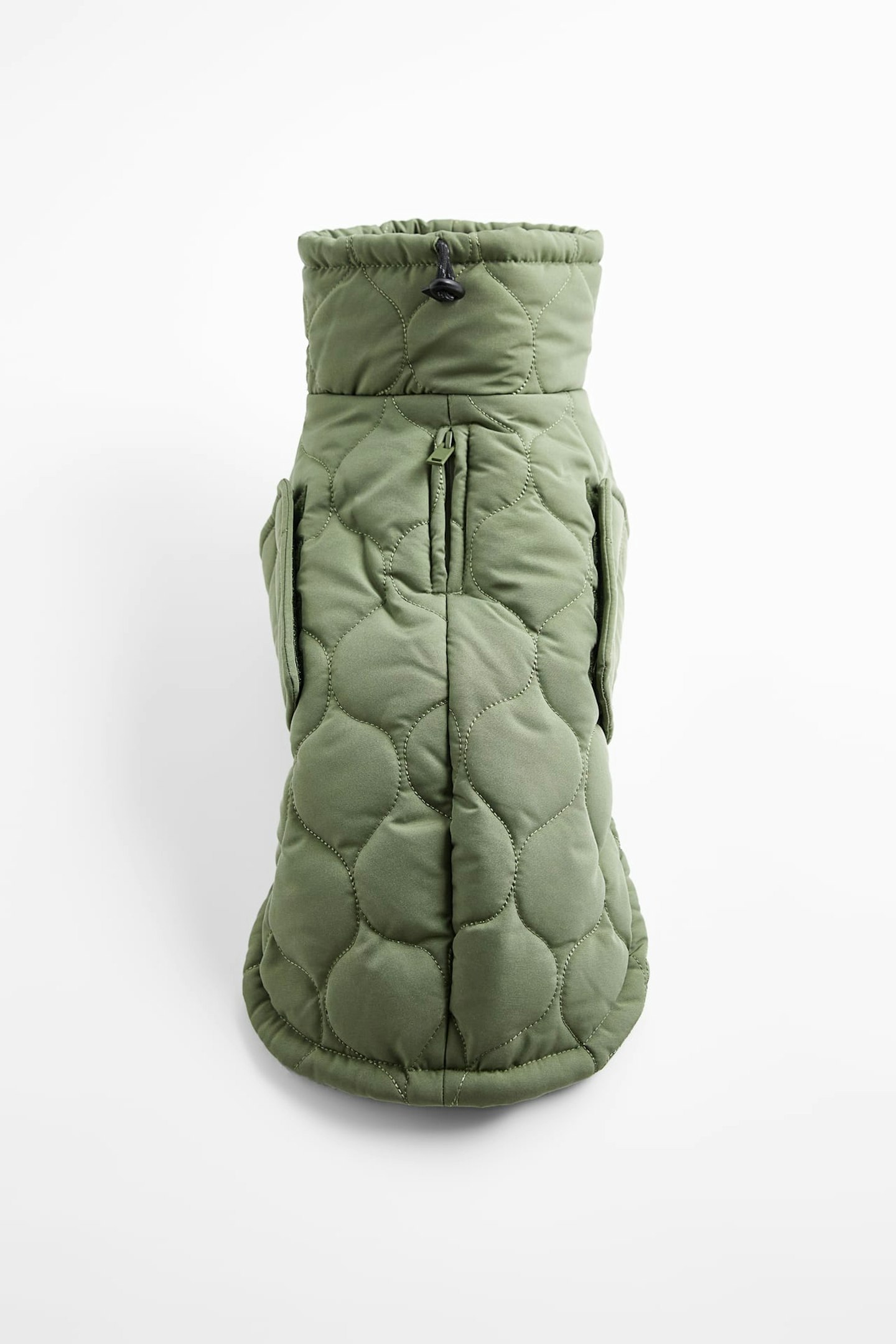 zara pet collection