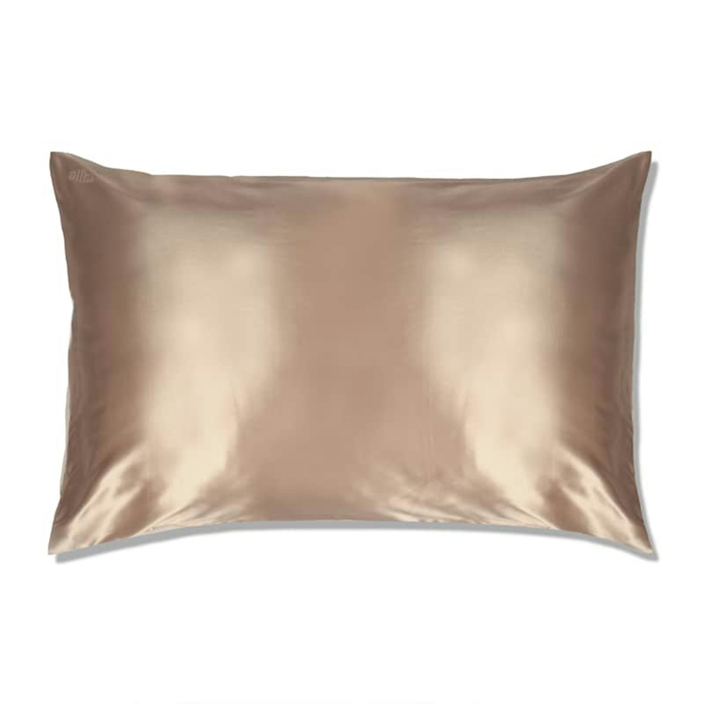 Slipu2122 Pure Silk Pillowcase Queen Size