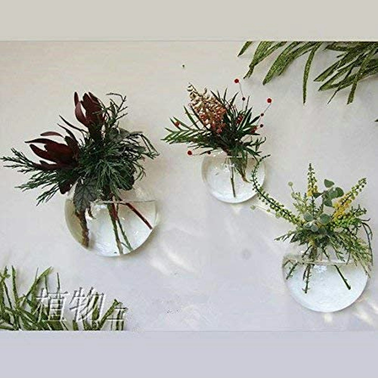 Wall Plants and Terrariums