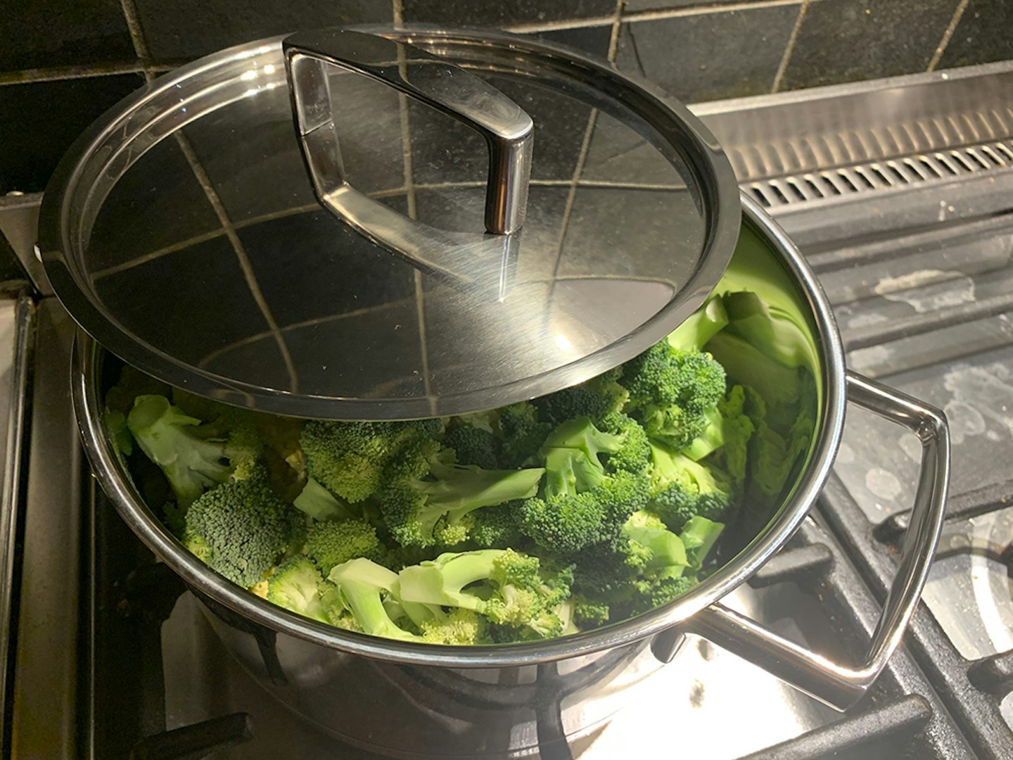 Zwilling pot with brocolli