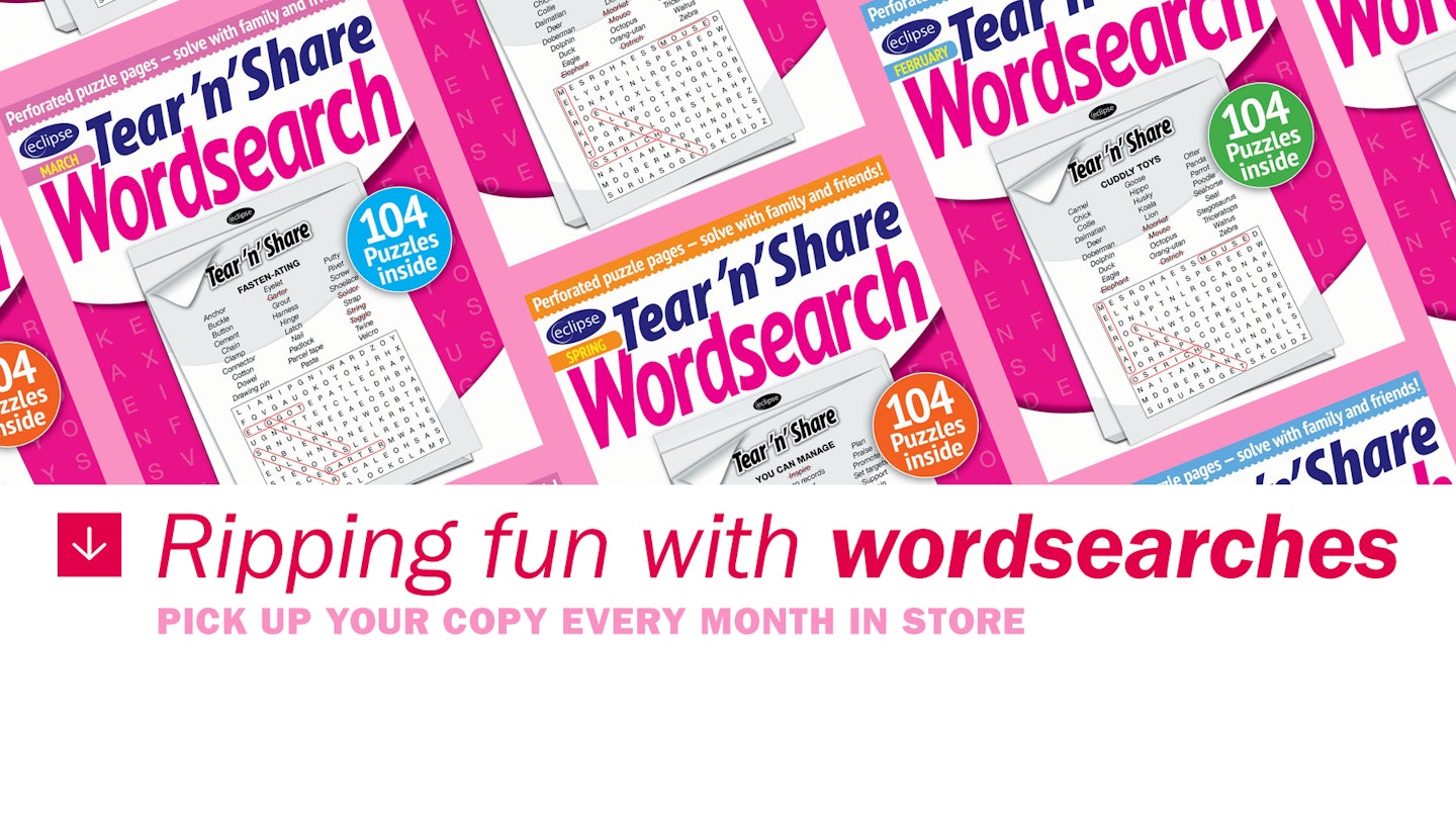 Tear n Share Wordsearch Covers