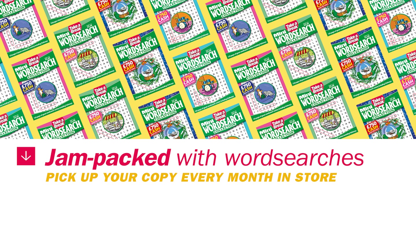 MIni Wordsearch Collection Covers