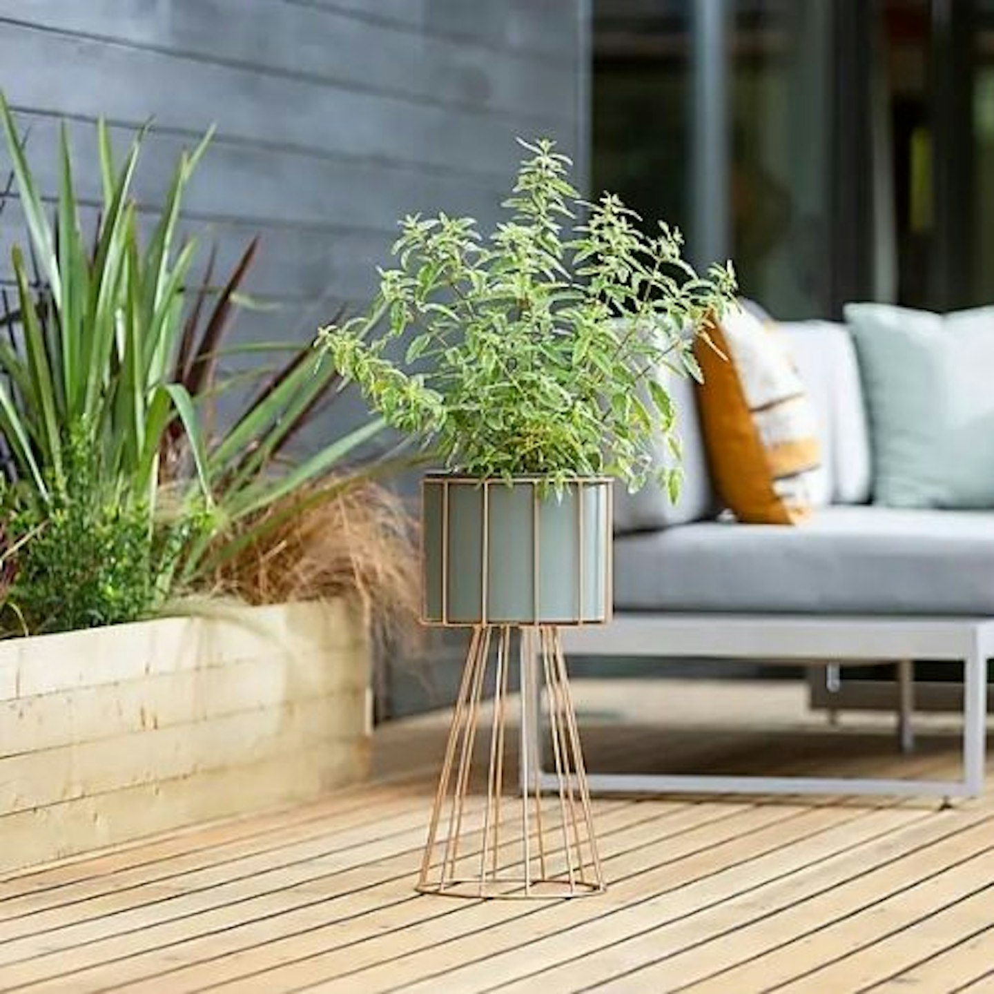 Plant Pot with Wire Stand
