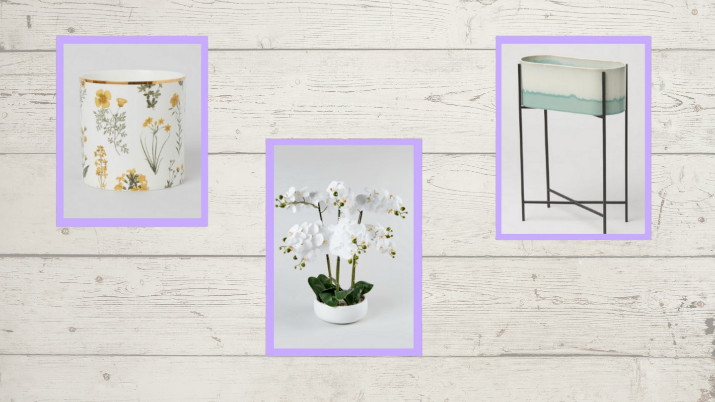 The best flower pots on white wooden background
