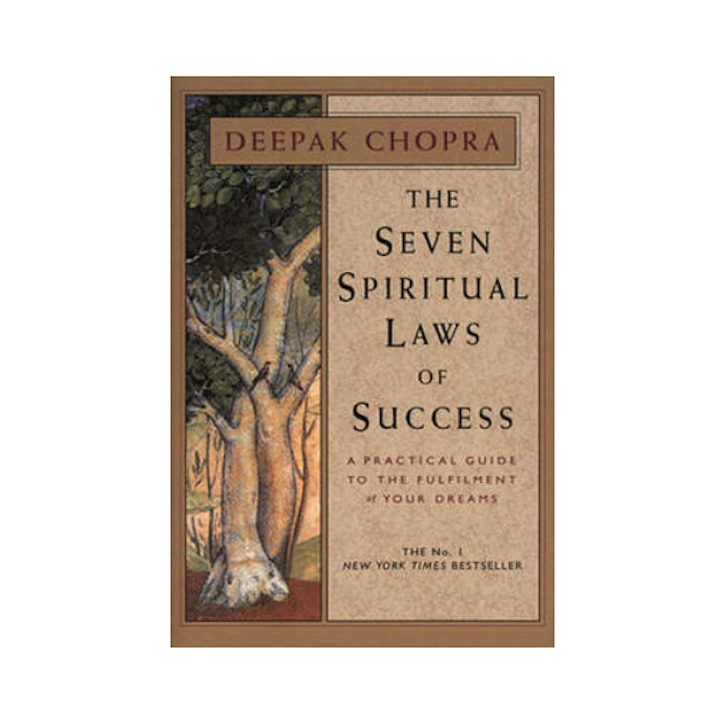 The Seven Spiritual Laws of Success book cover