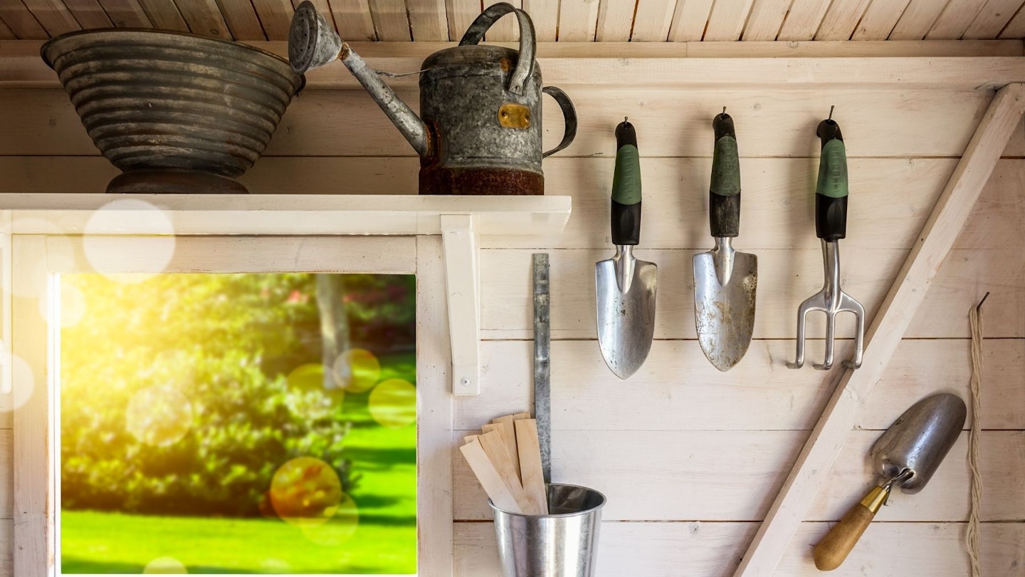 Organised garden shed with tools