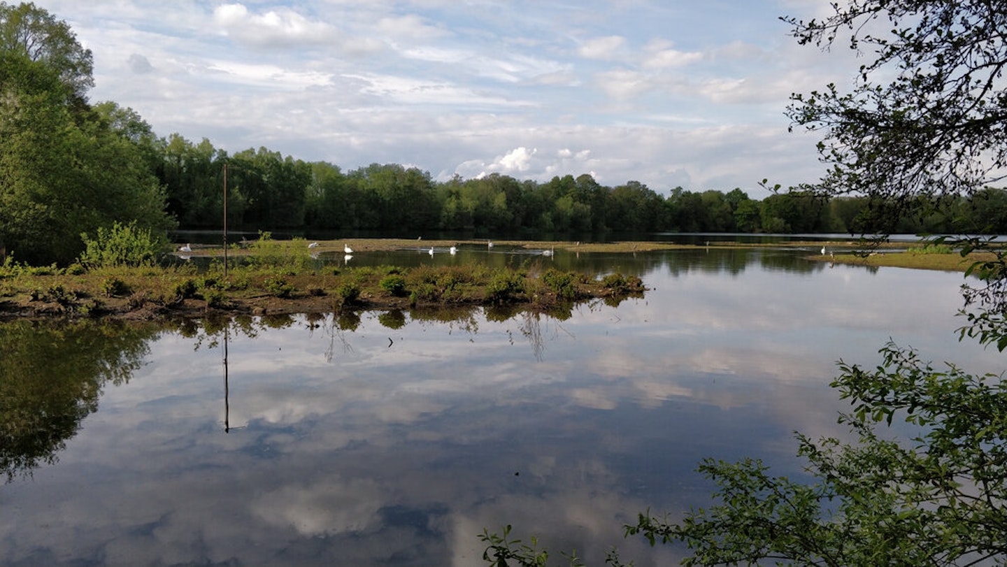 BIRDWATCHERS AND OTTER LOVERS SPRING TO DEFENCE OF KENT’S ANGLERS IN GRAVEL PITS DRAMA