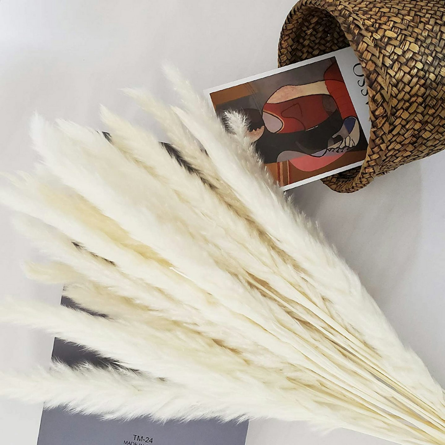 TRvancat 30 Pcs Natural Dried Pampas Grass