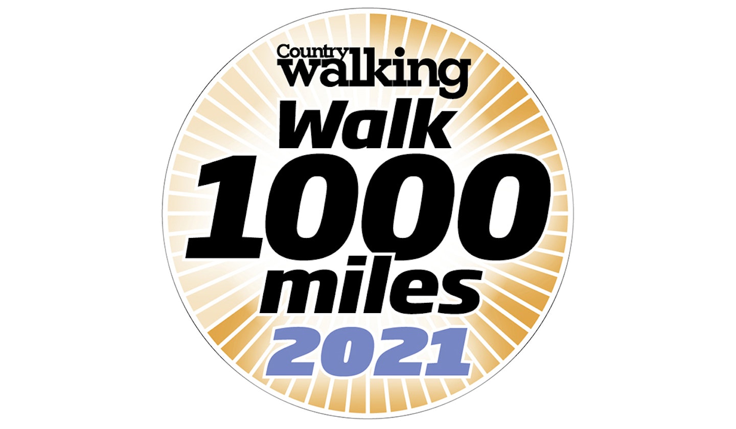 walk 1000 miles logo