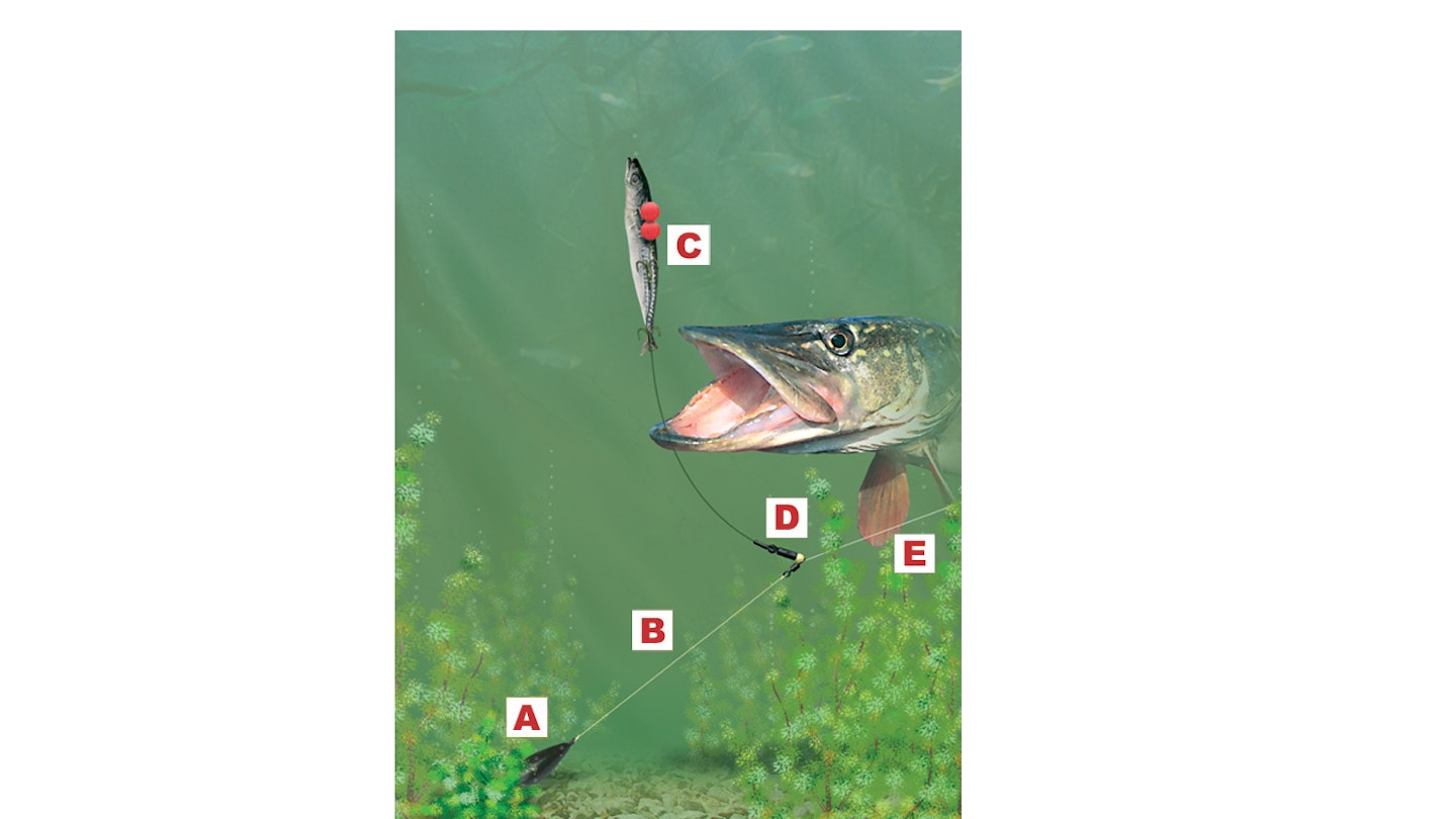 Pike dead bait rigs deals